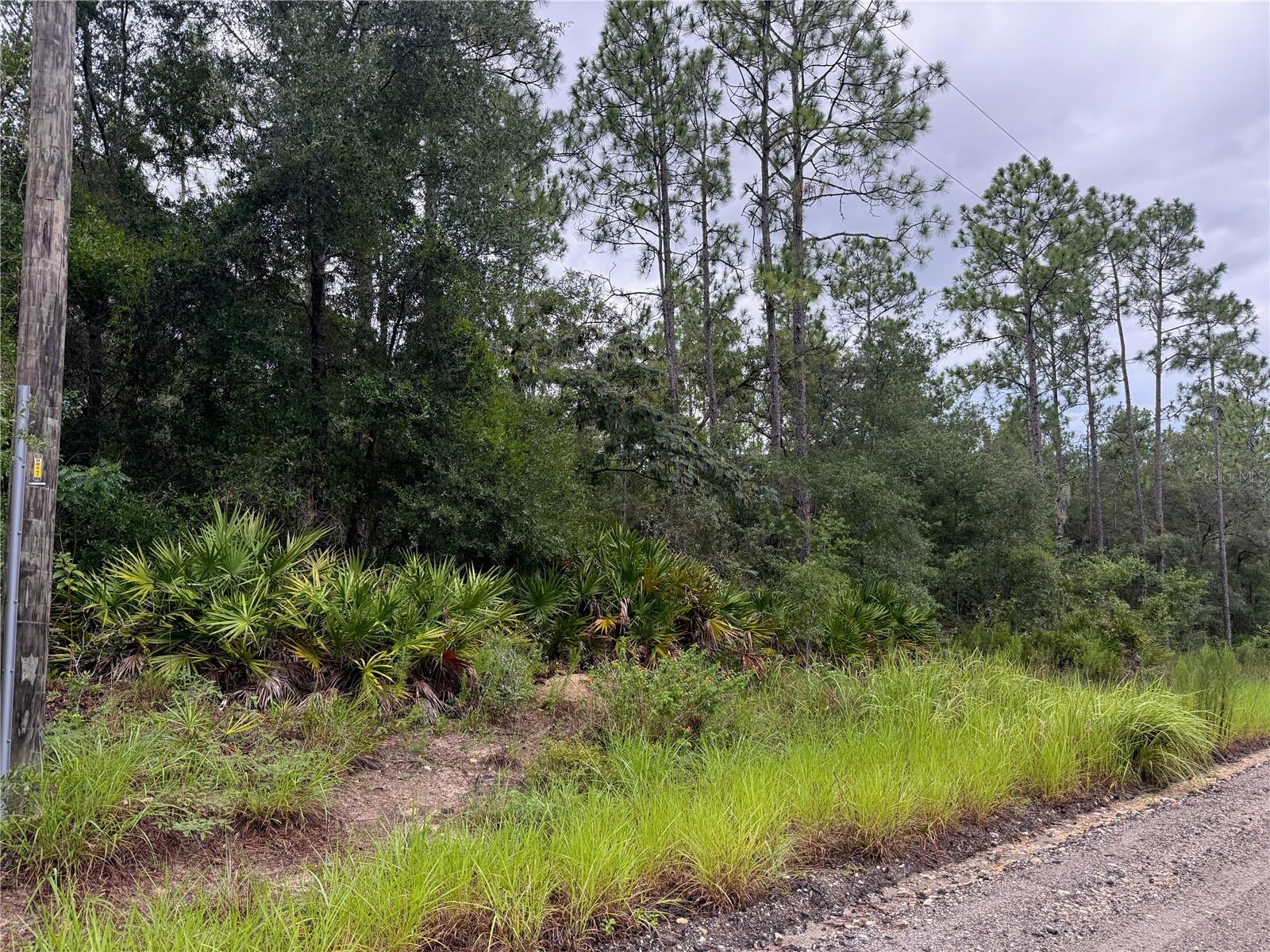 175 CT Property Photo 1