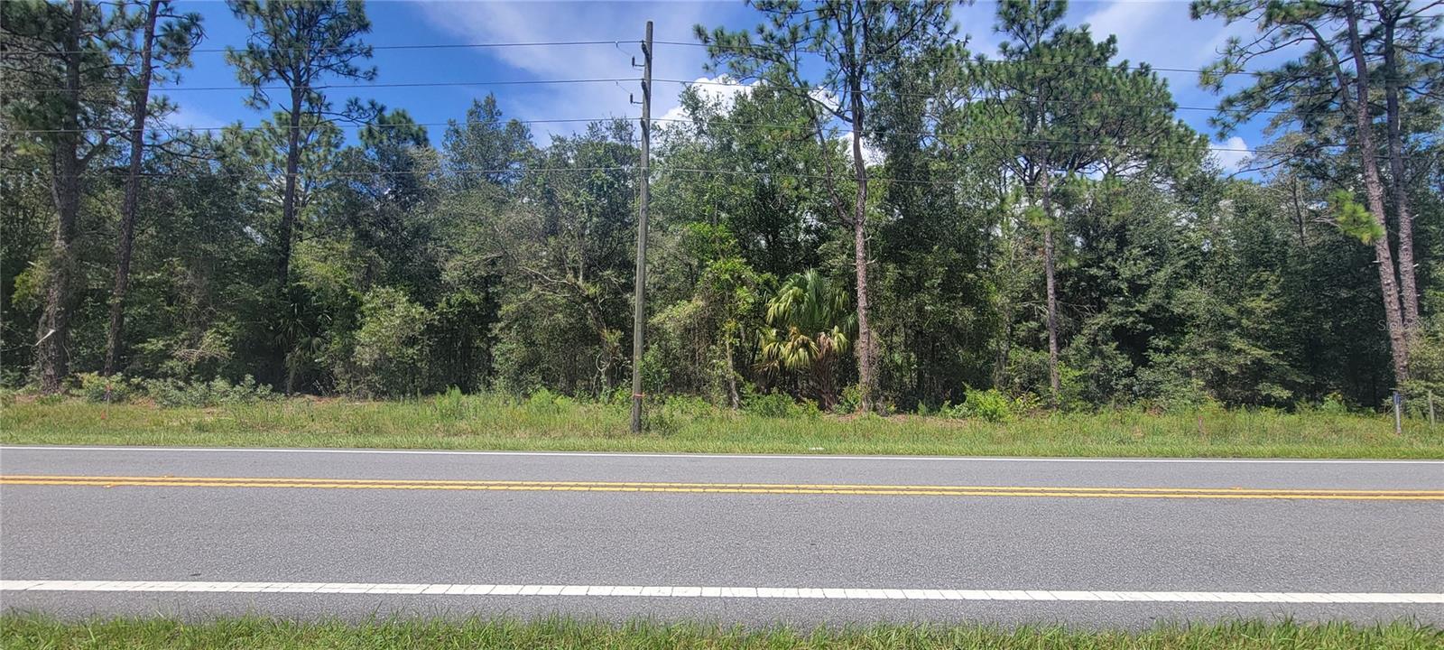 7481 W Dunnellon Rd Property Photo 2