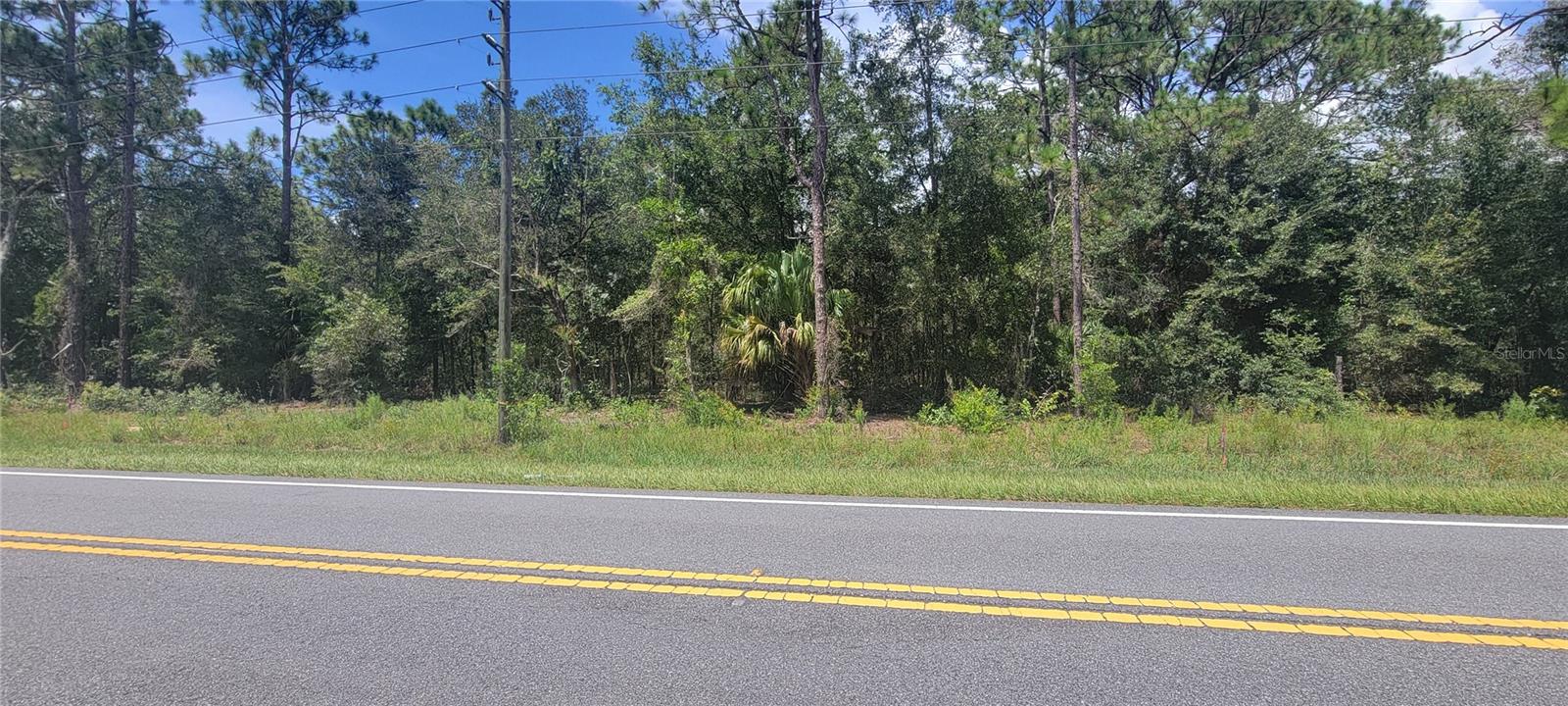 7481 W Dunnellon Rd Property Photo 5