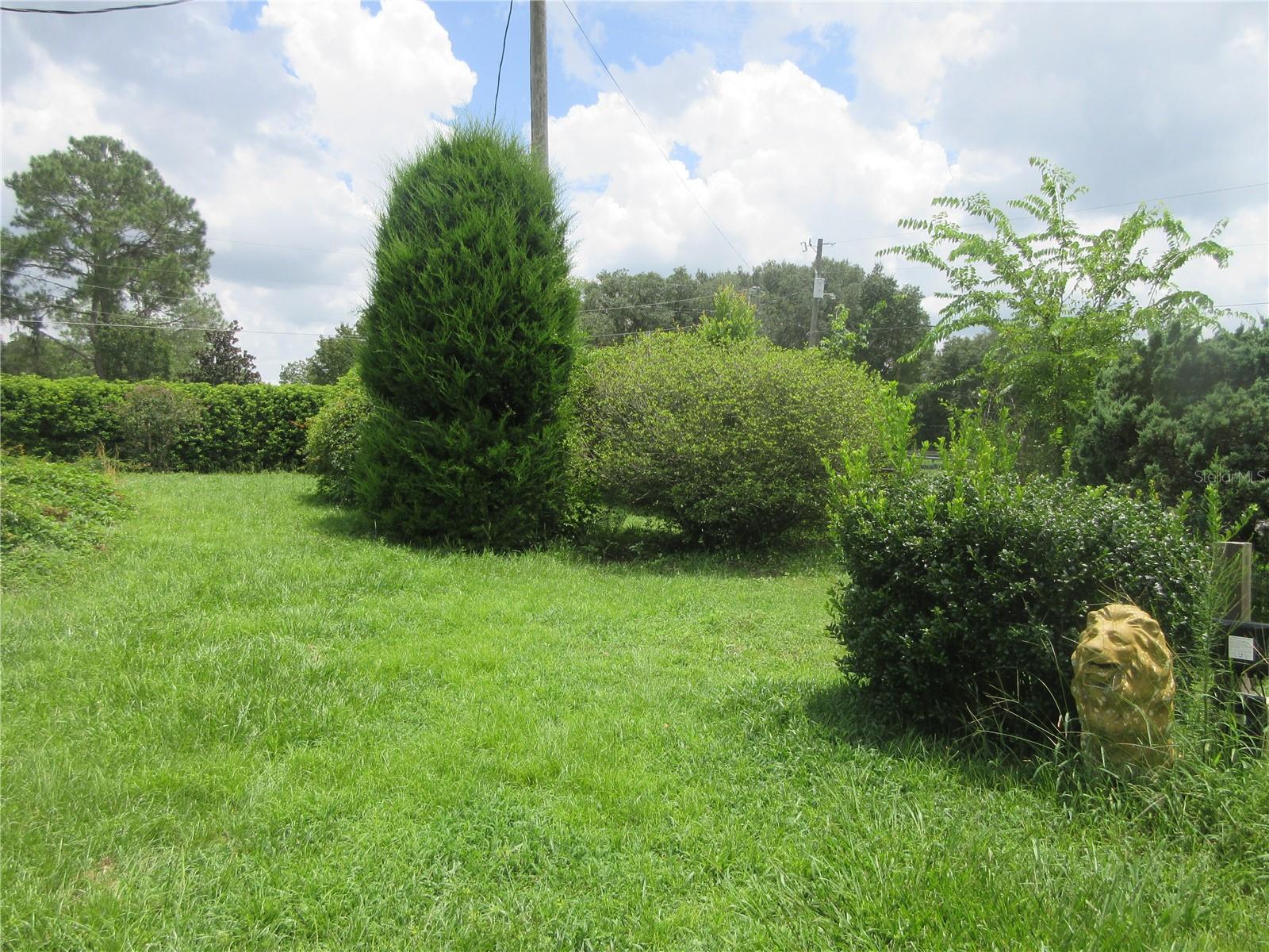 16000 N Hwy 329 Property Photo 20