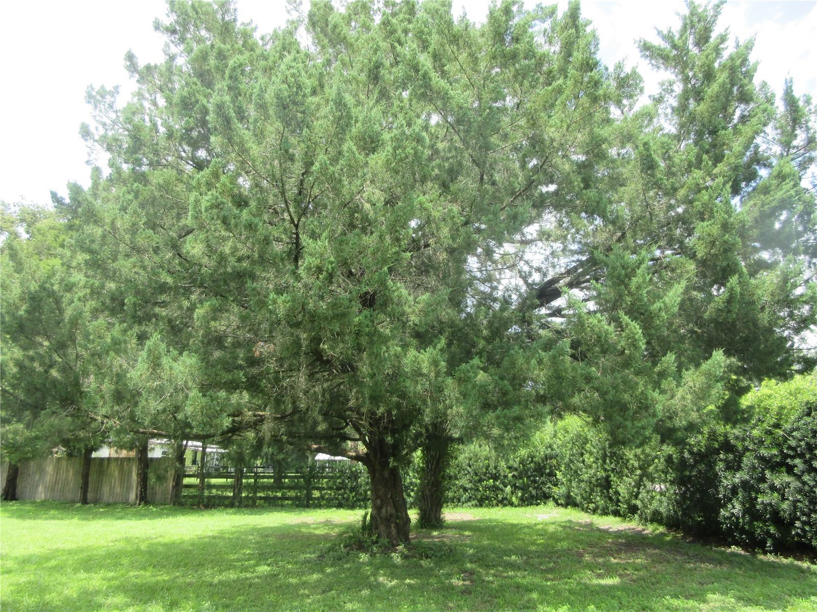 16000 N Hwy 329 Property Photo 28