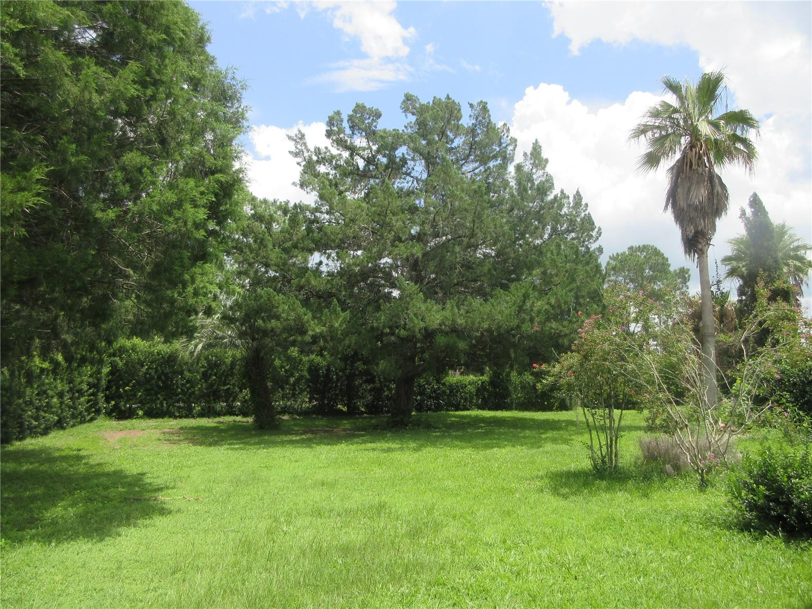16000 N Hwy 329 Property Photo 31