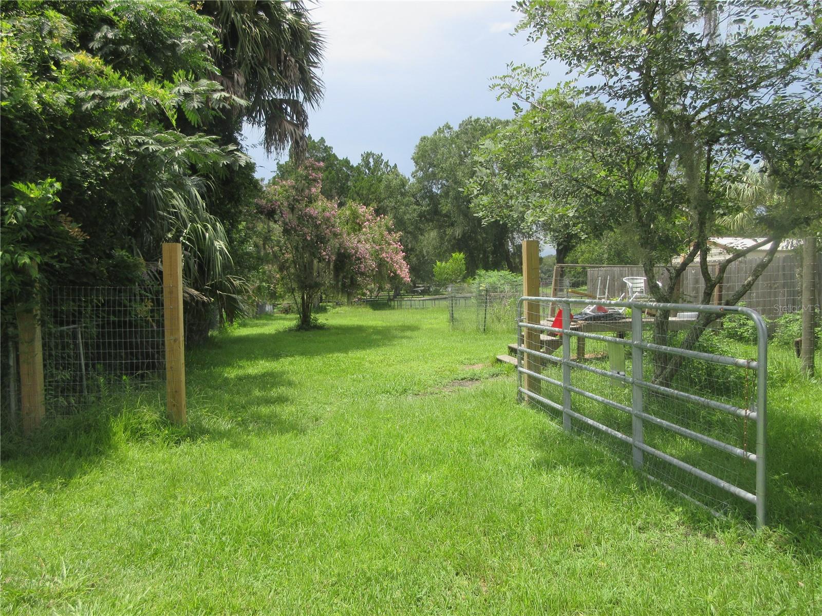 16000 N Hwy 329 Property Photo 32