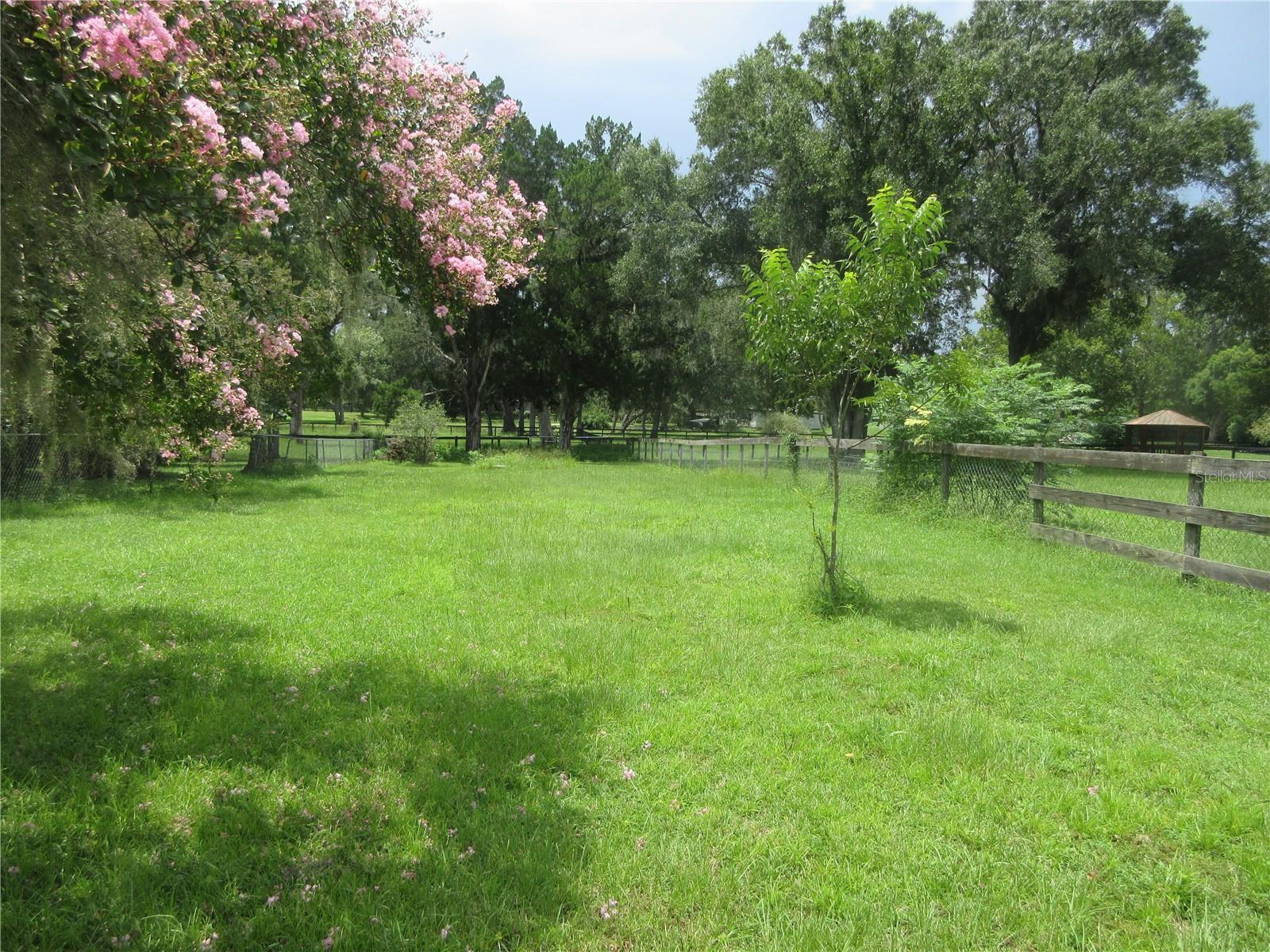 16000 N Hwy 329 Property Photo 34
