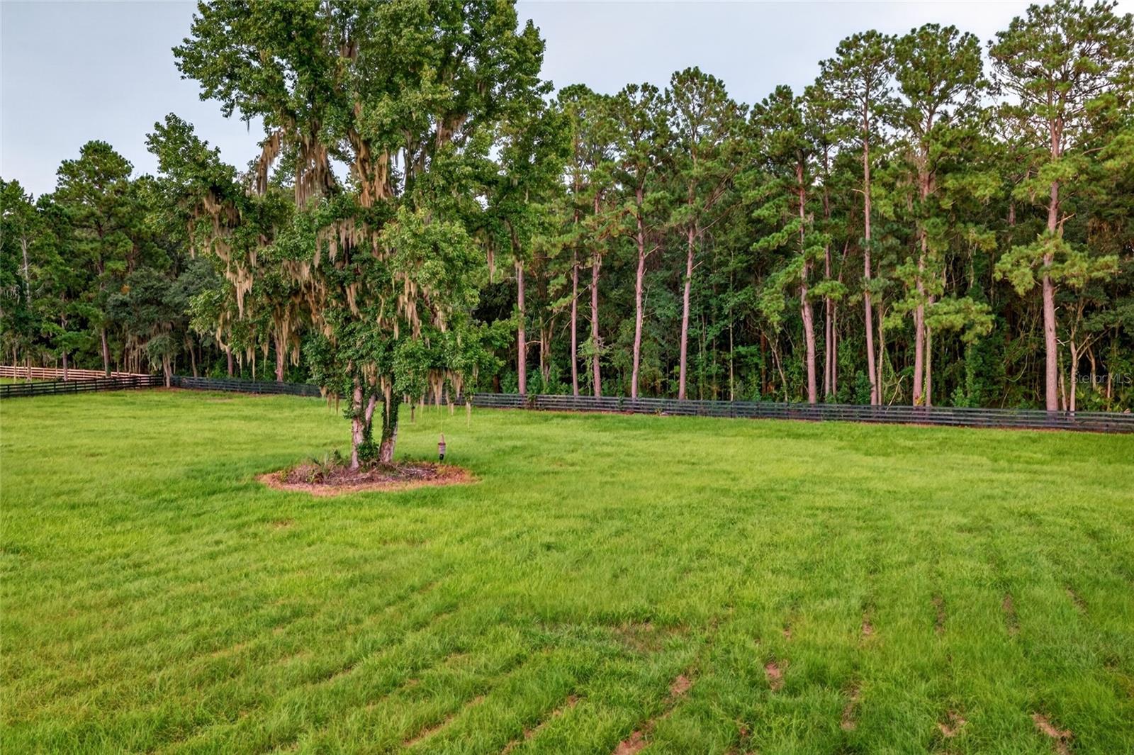Tbd Hwy 329 Property Photo 6