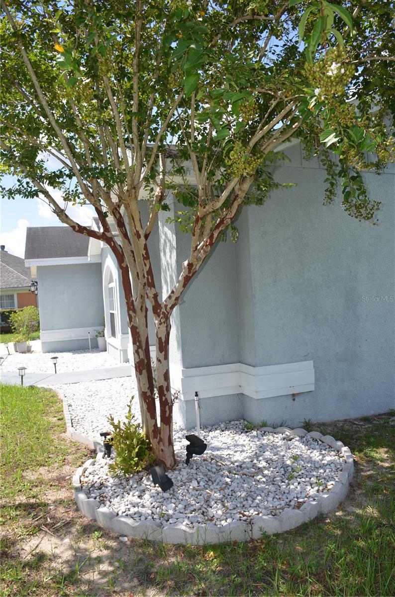 9916 Sw 56th Ave Property Photo 4