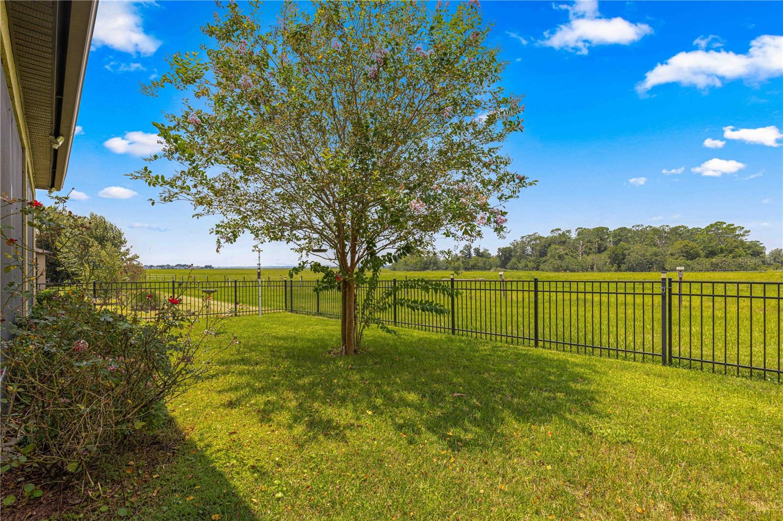9793 Sw 63rd Loop Property Photo 12