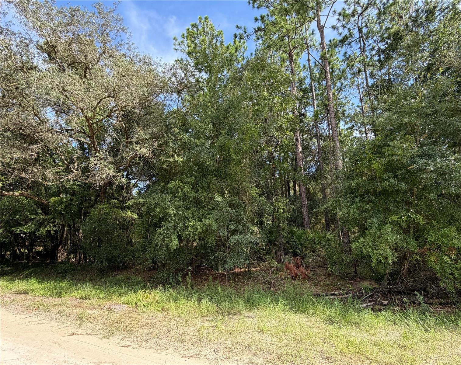 12640 Sw 76th Ln Property Photo 6