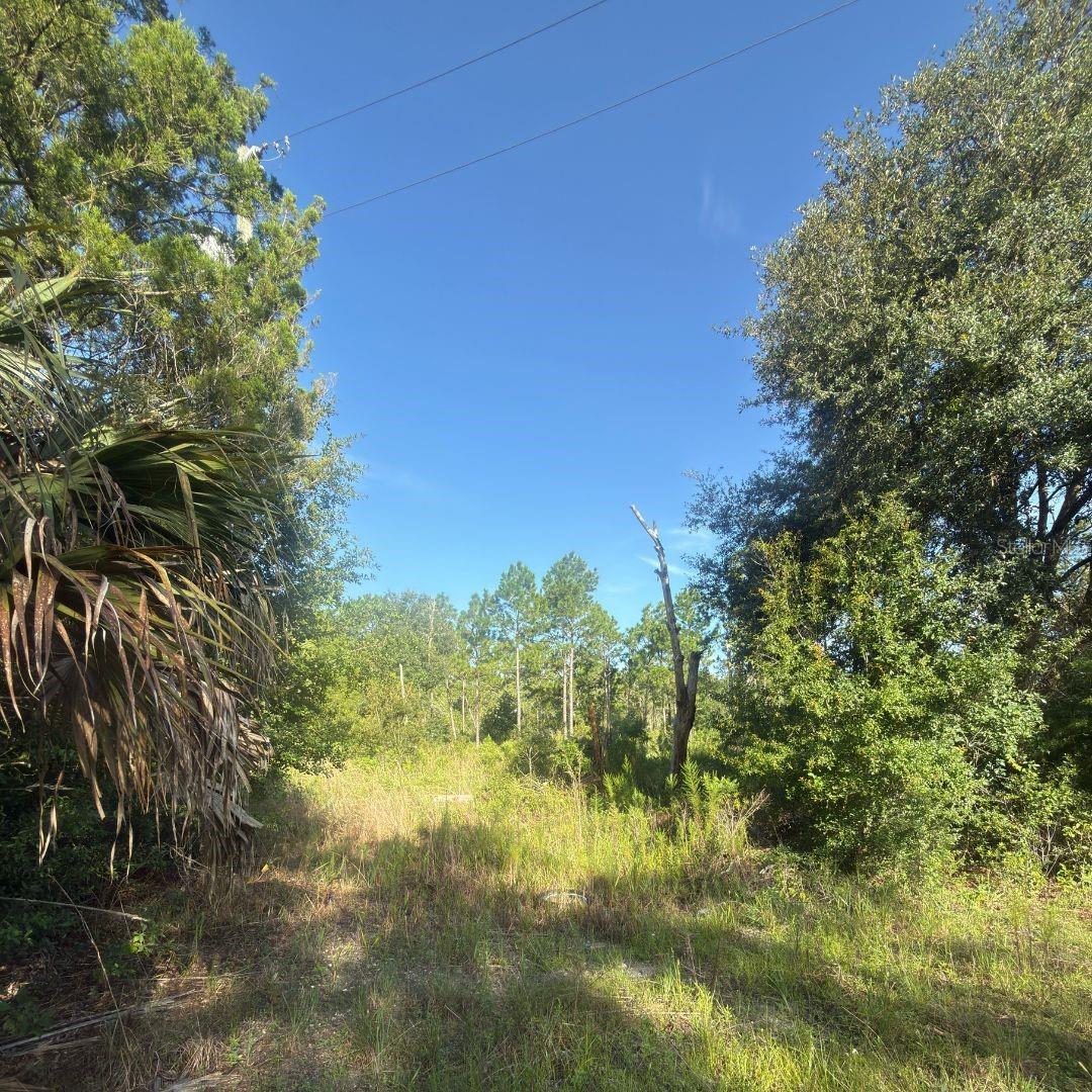 19037 PARAKEET RD Property Photo 1