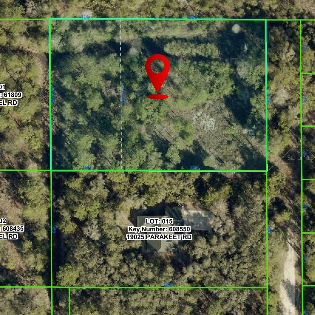 19037 Parakeet Rd Property Photo 2