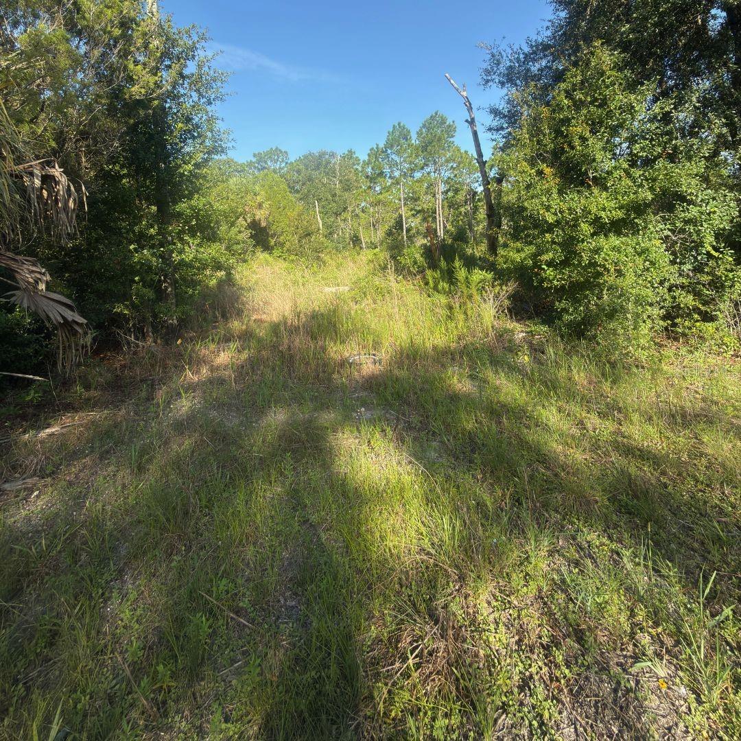 19037 Parakeet Rd Property Photo 4