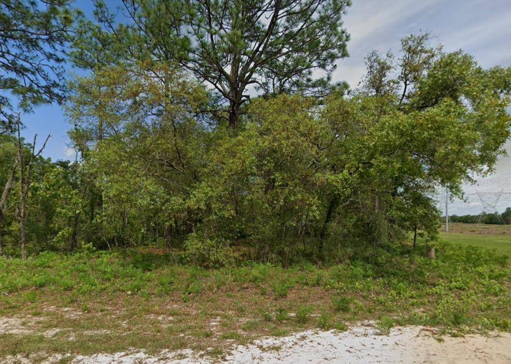 6895 N Varsity Ave Property Photo 1