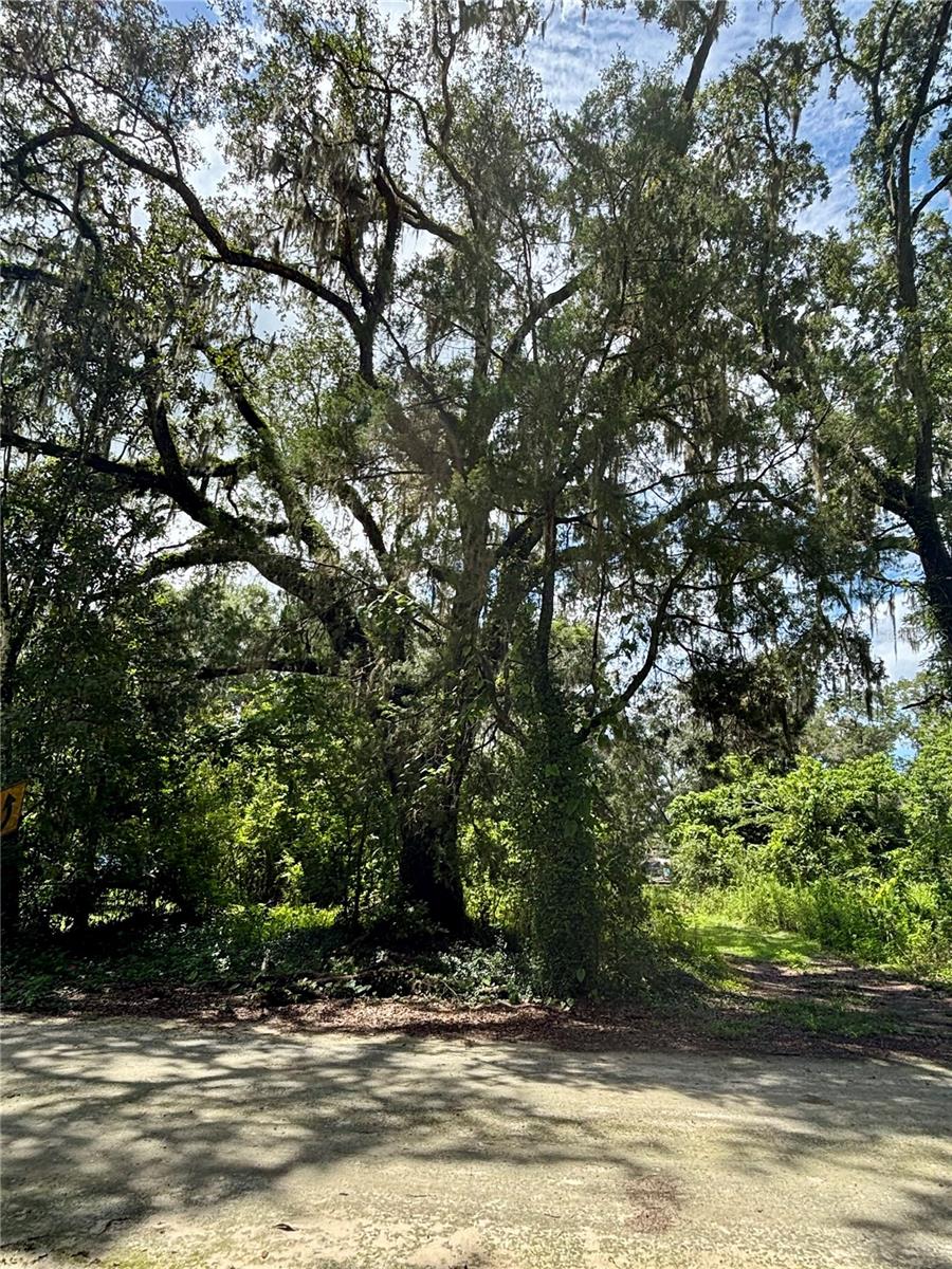 Lot 28 SW 109 LN