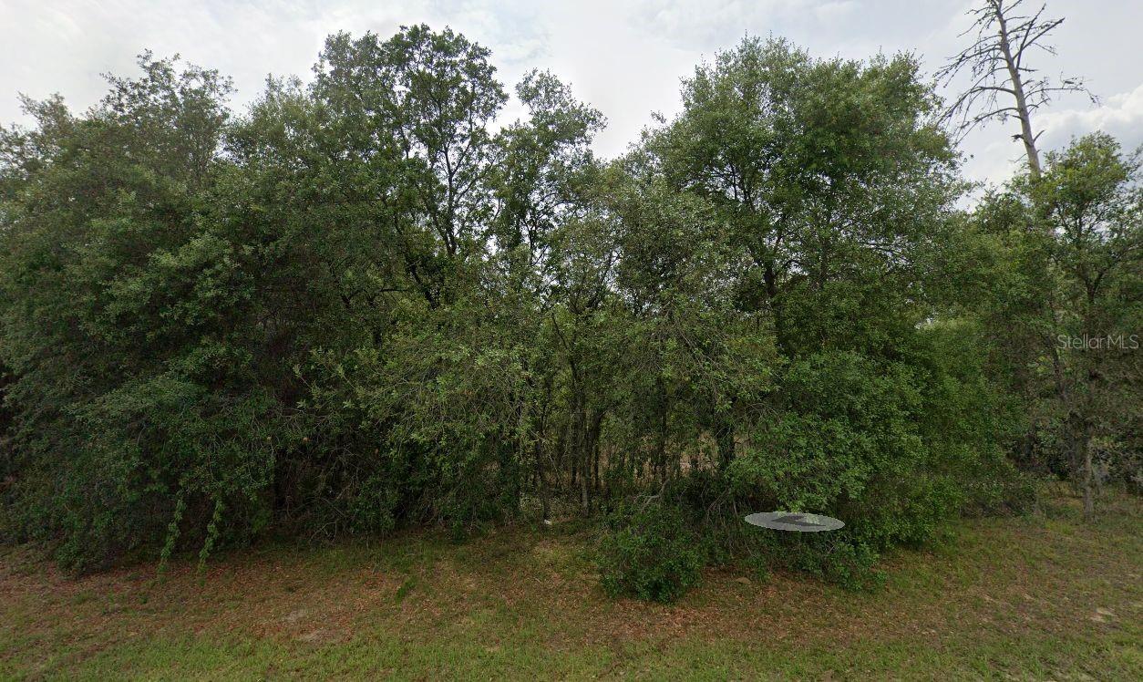 0 Marion Oaks Blvd Property Photo 1
