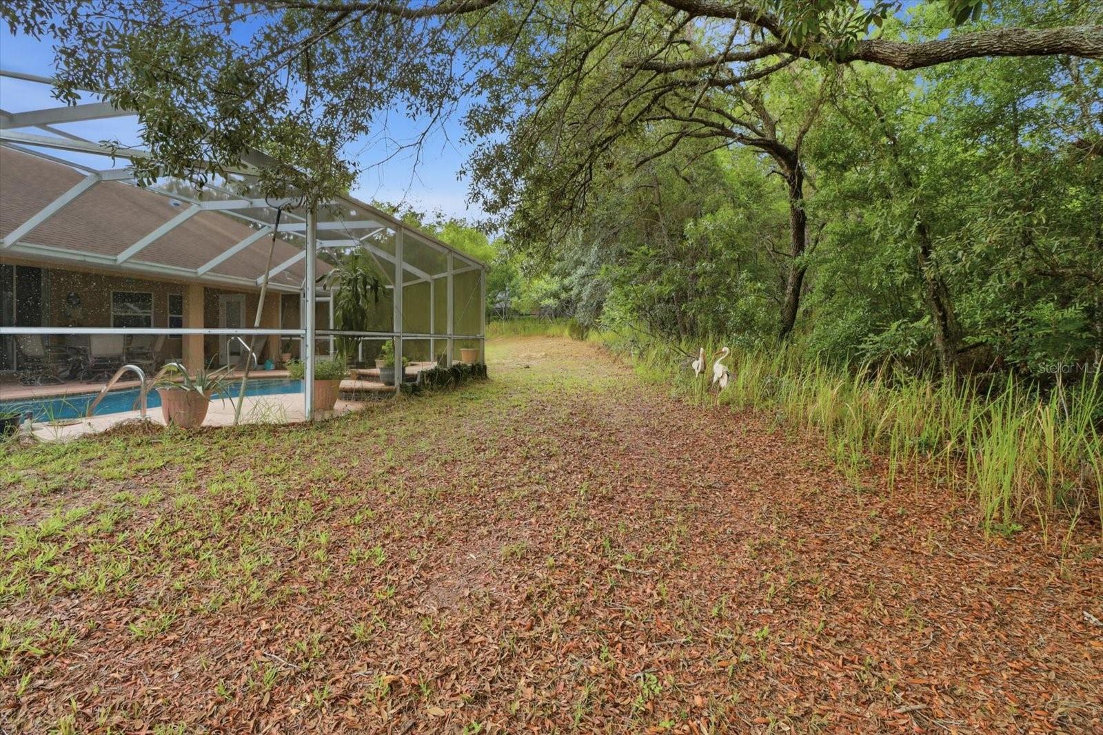 2667 W Pine Ridge Blvd Property Photo 40