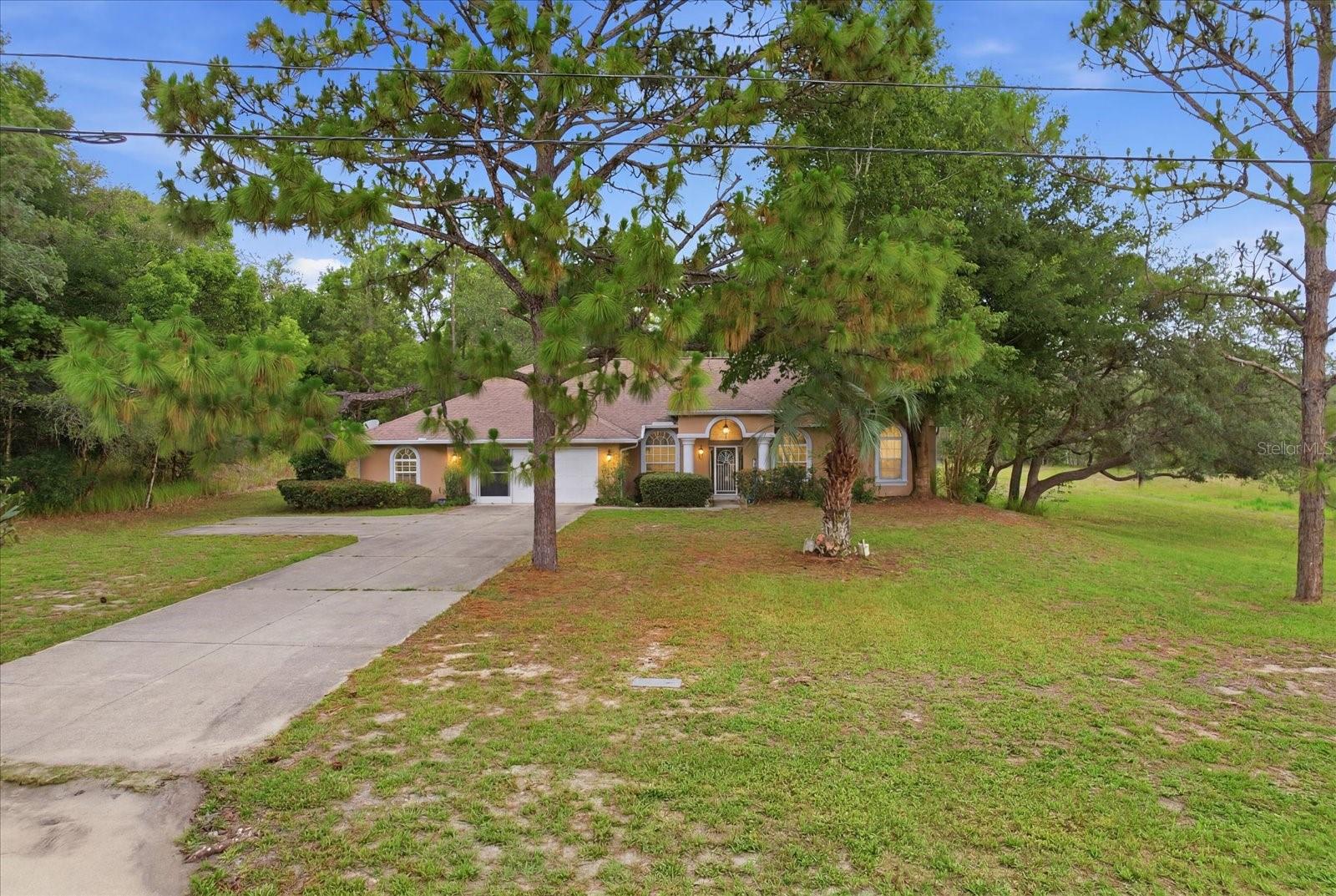 2667 W Pine Ridge Blvd Property Photo 43