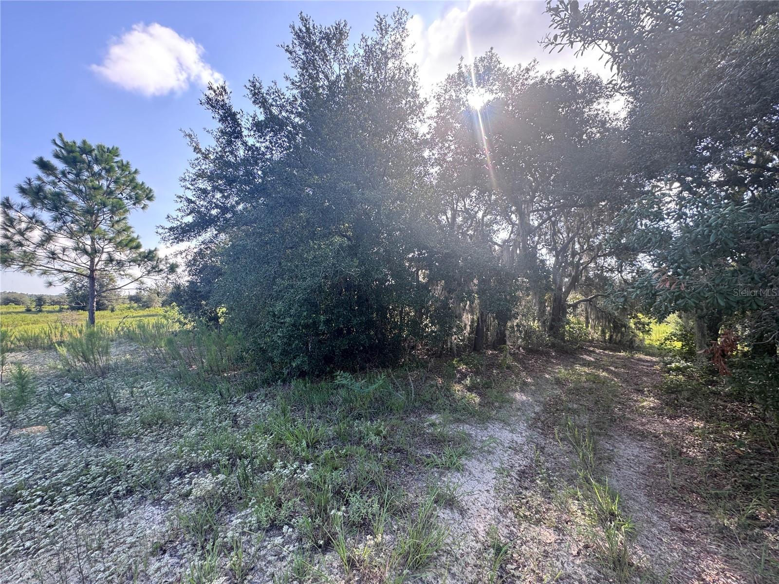 2251 E Four Seasons Ln Property Photo 1
