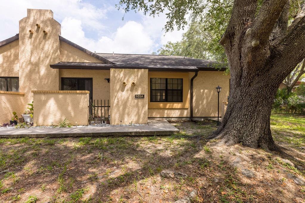 64 Pine Trak #103a Property Photo 2
