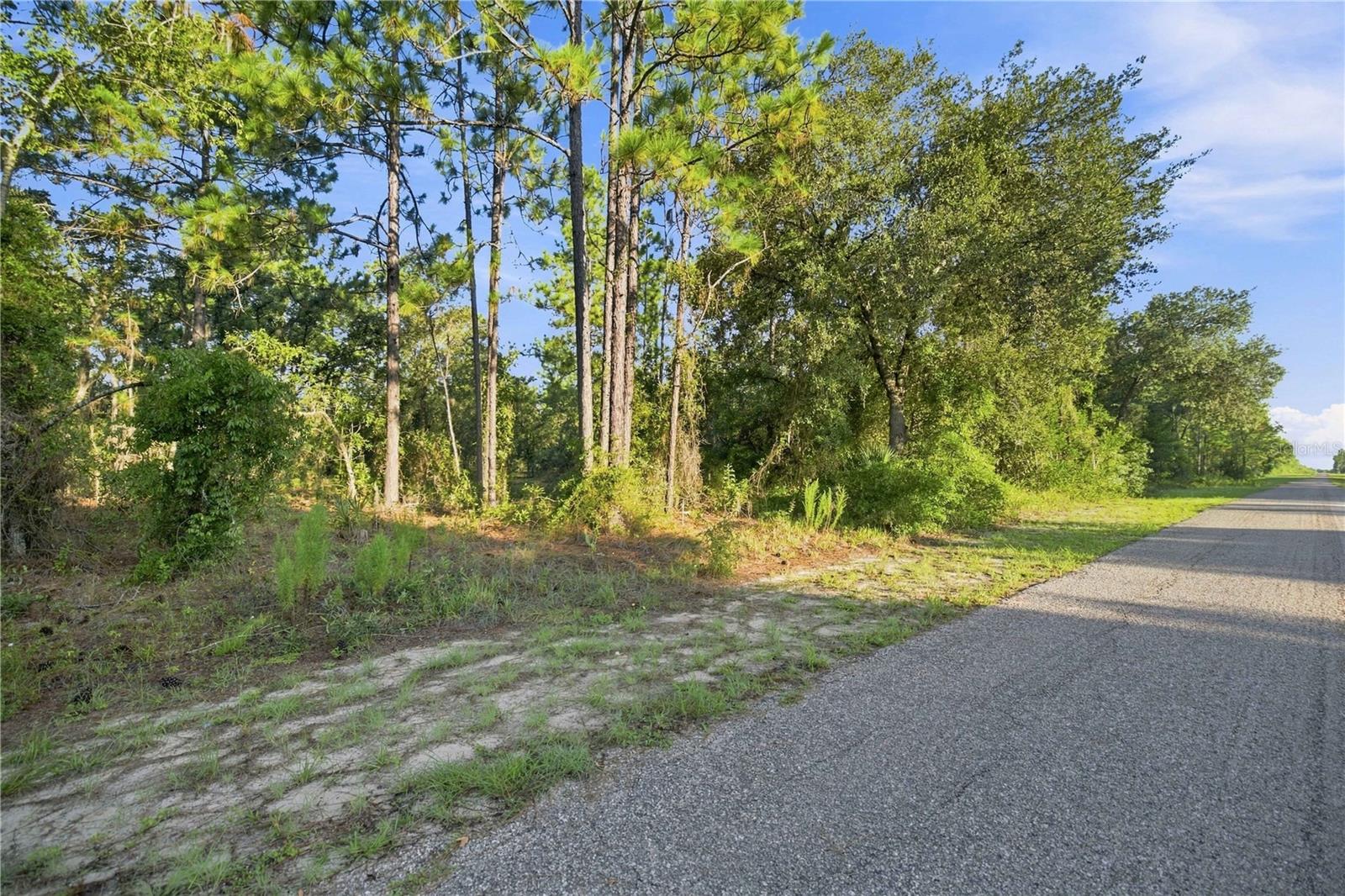 00 Se 133 Ave Property Photo 14