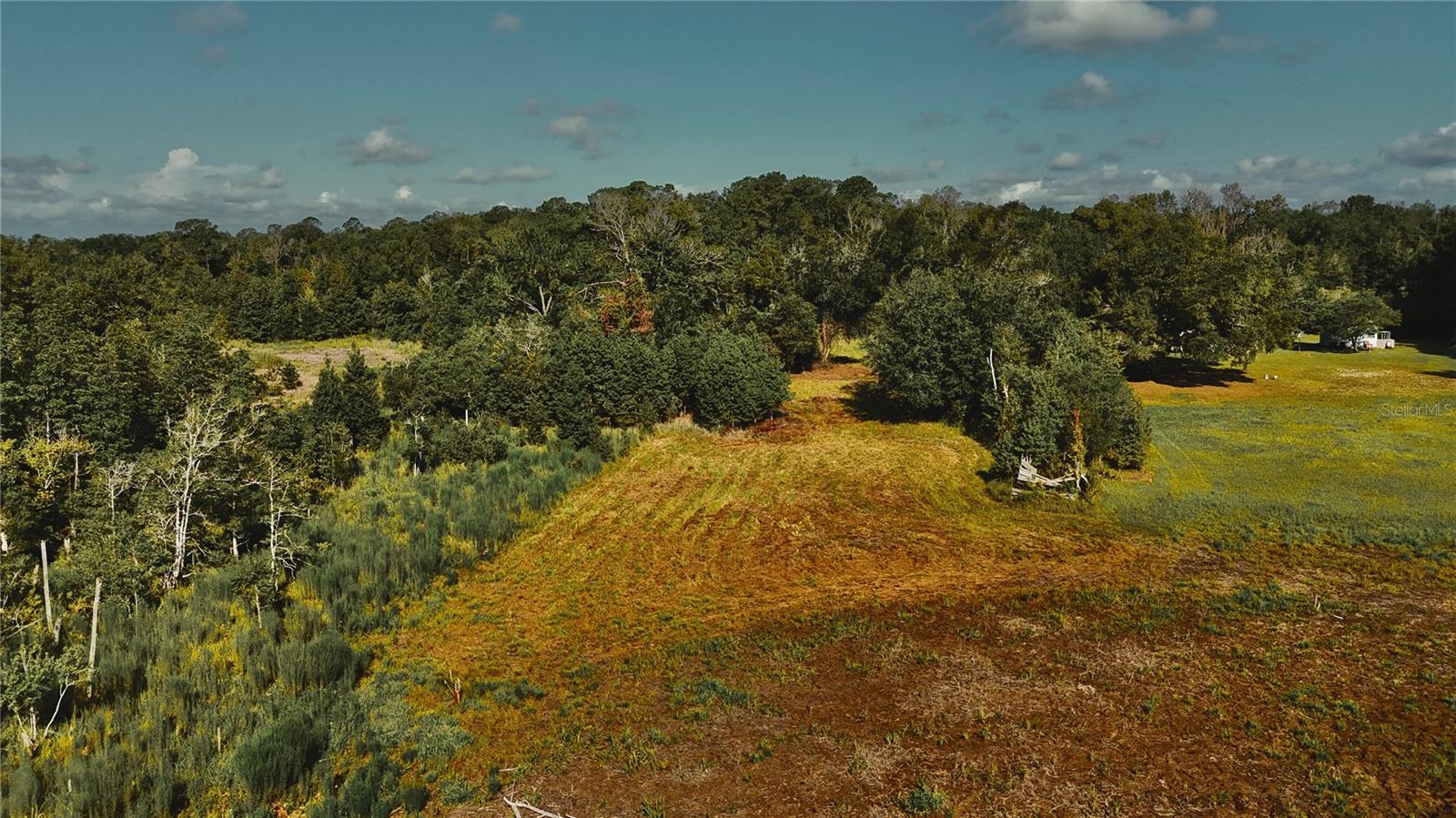 00 HALL LAKE RD
