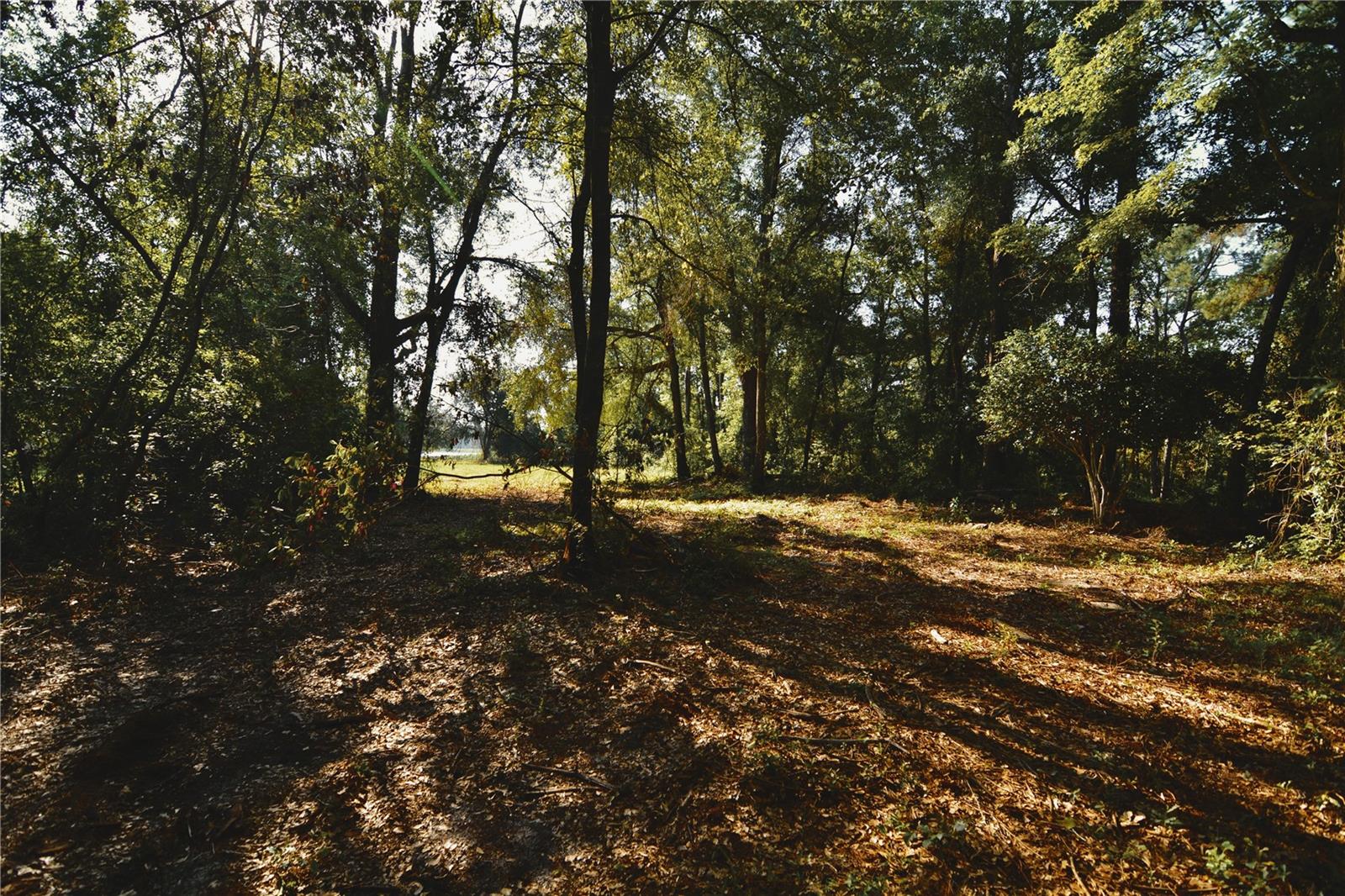 00 Hall Lake Rd Property Photo 4