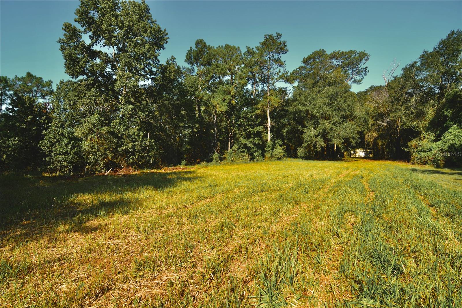 00 Hall Lake Rd Property Photo 5