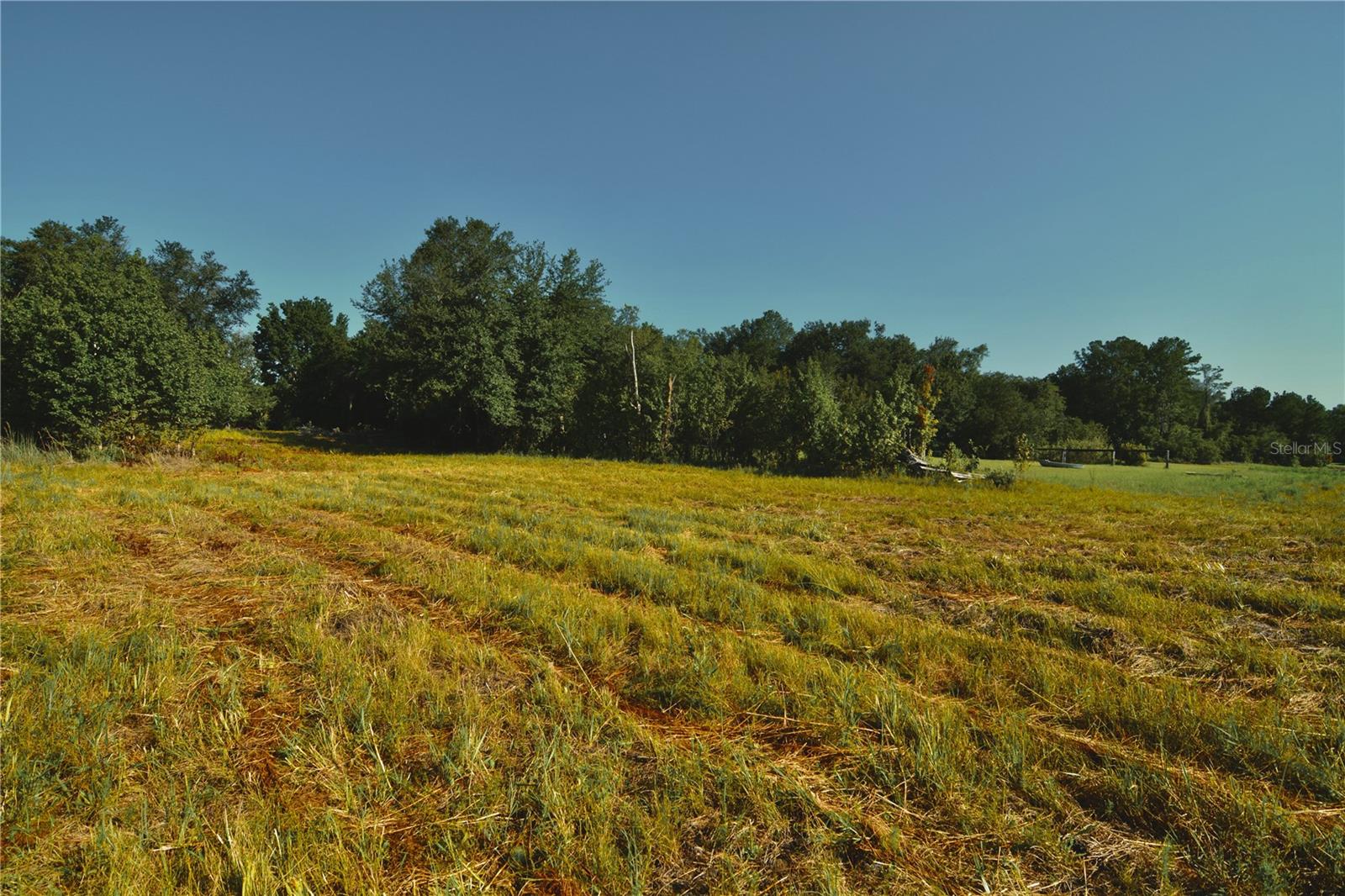 00 Hall Lake Rd Property Photo 7