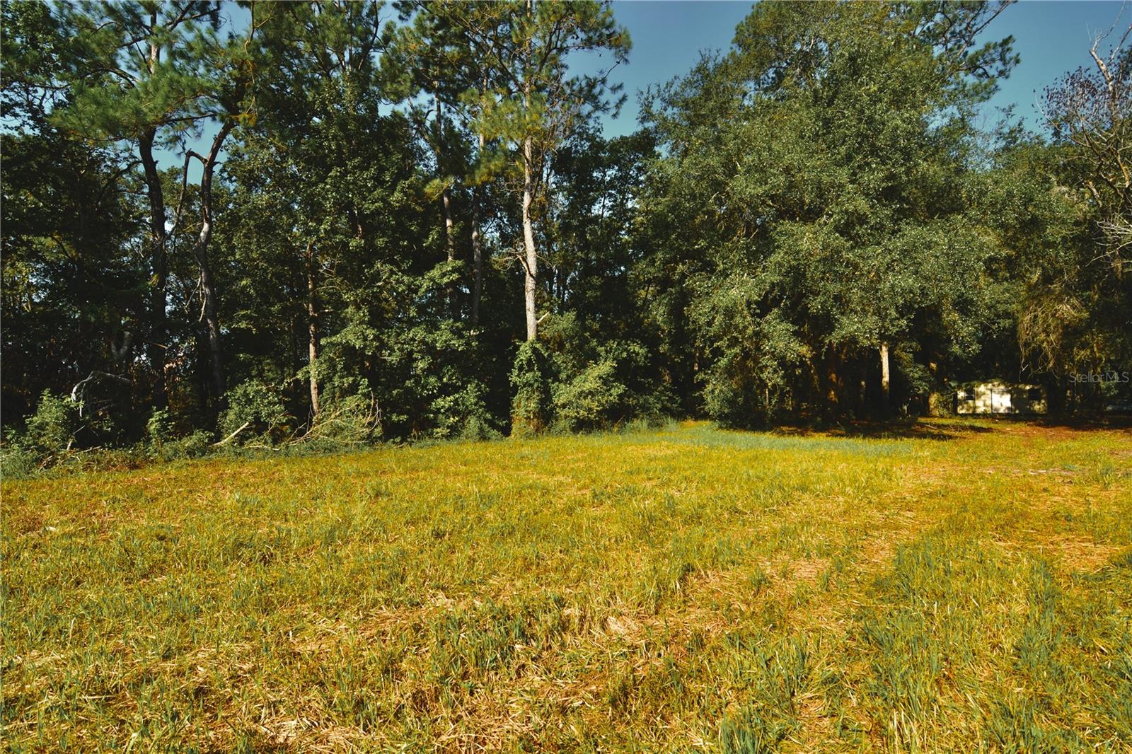 00 Hall Lake Rd Property Photo 8