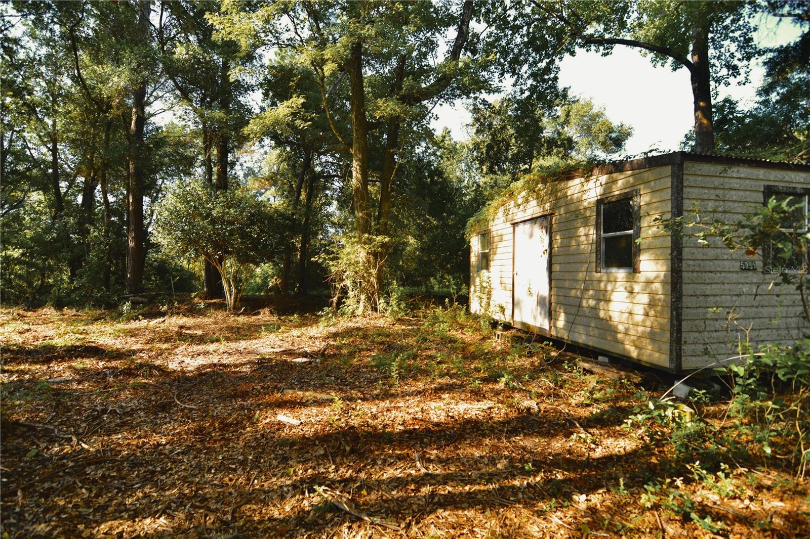 00 Hall Lake Rd Property Photo 11
