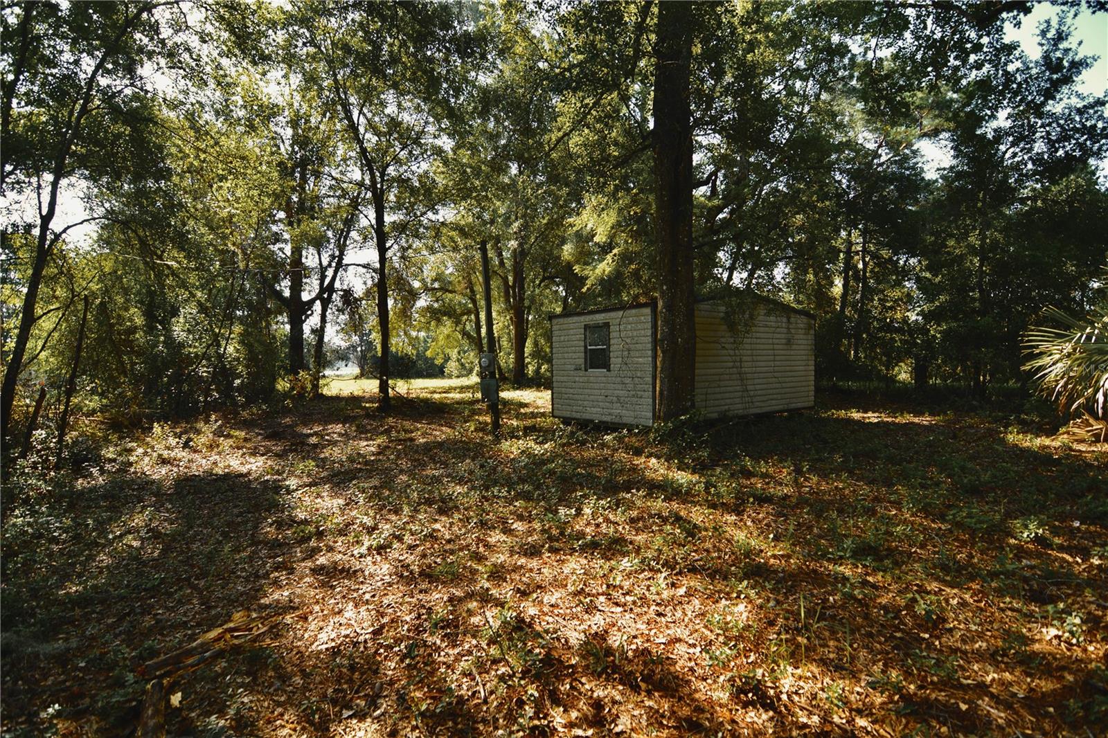 00 Hall Lake Rd Property Photo 12