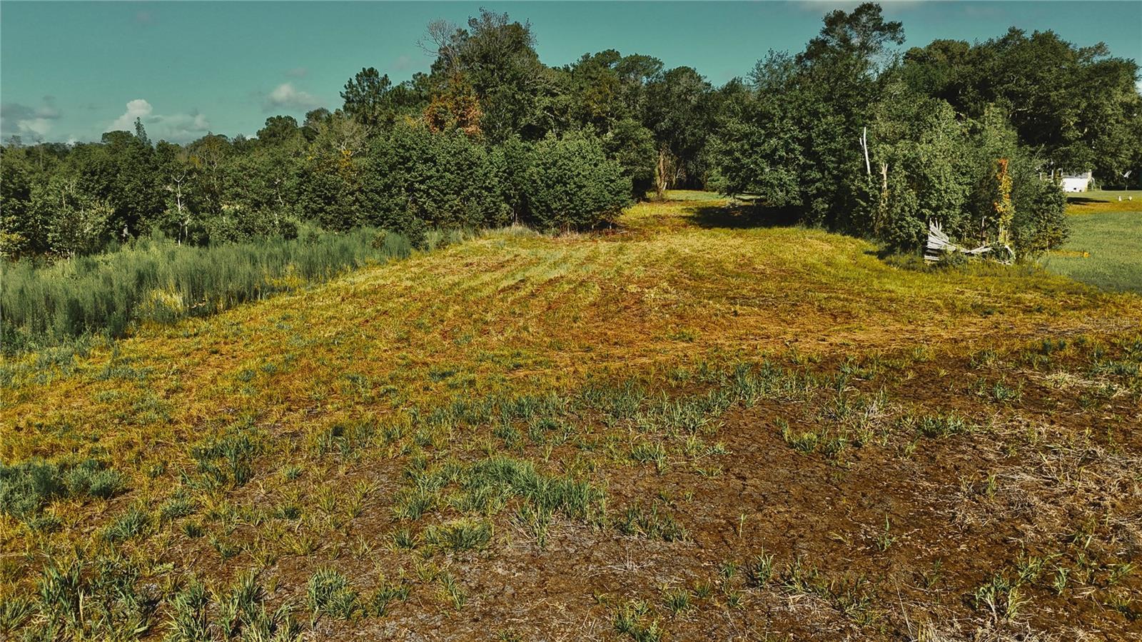 00 Hall Lake Rd Property Photo 15