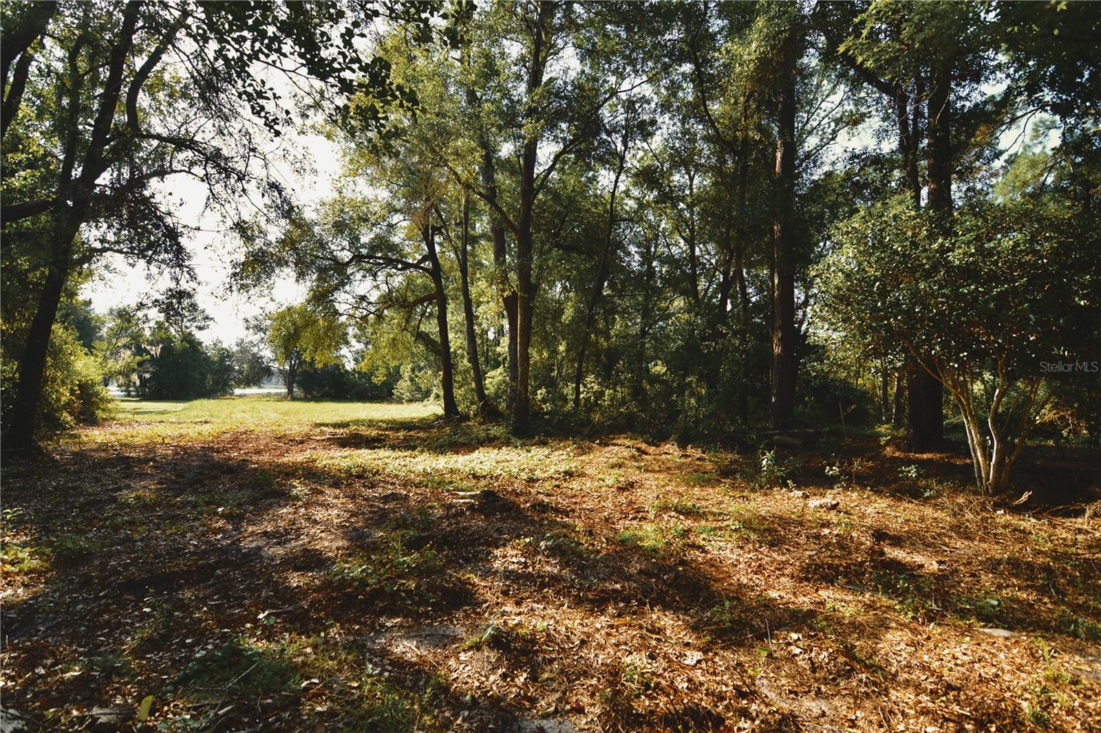 00 Hall Lake Rd Property Photo 16