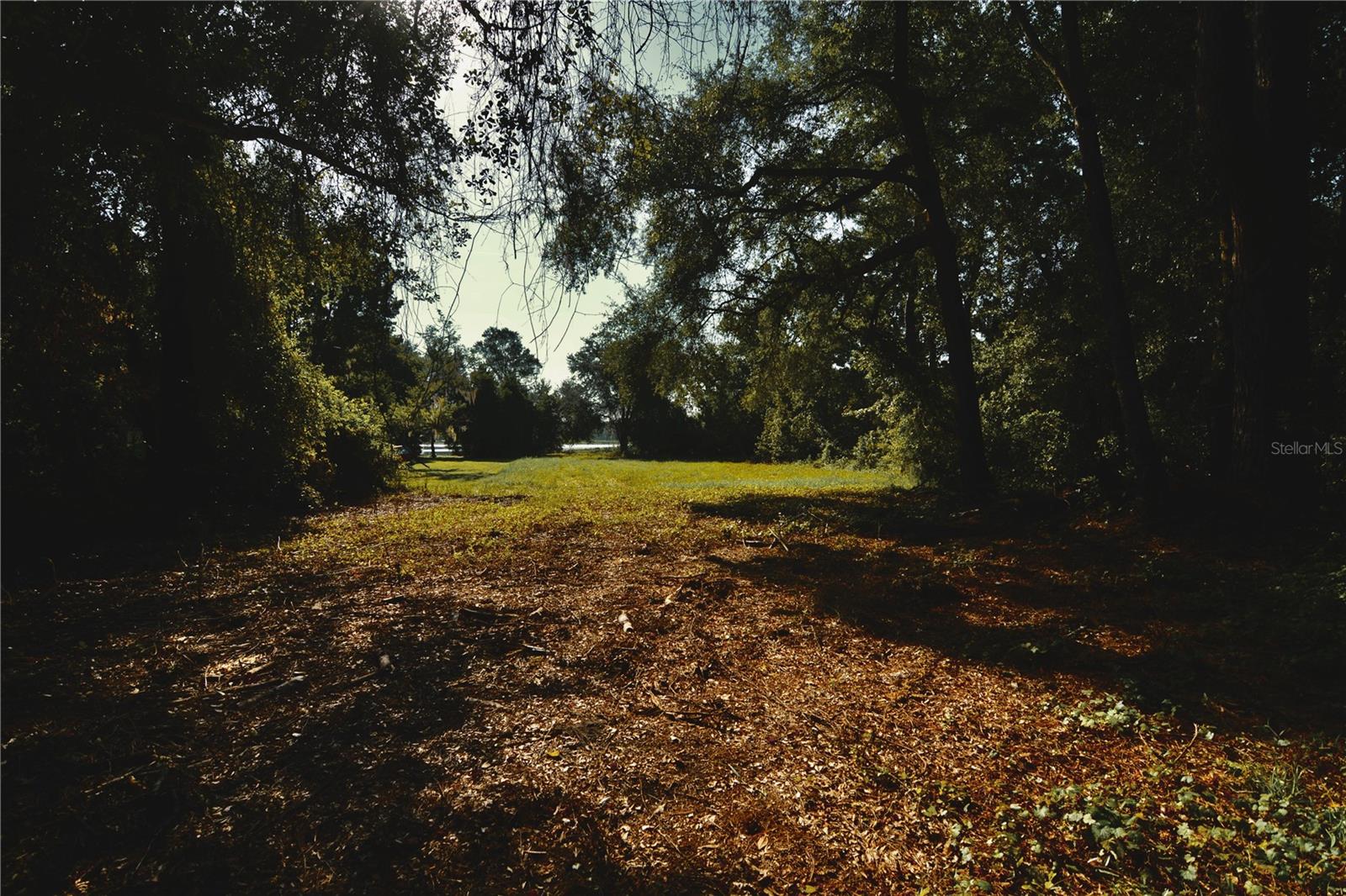 00 Hall Lake Rd Property Photo 17