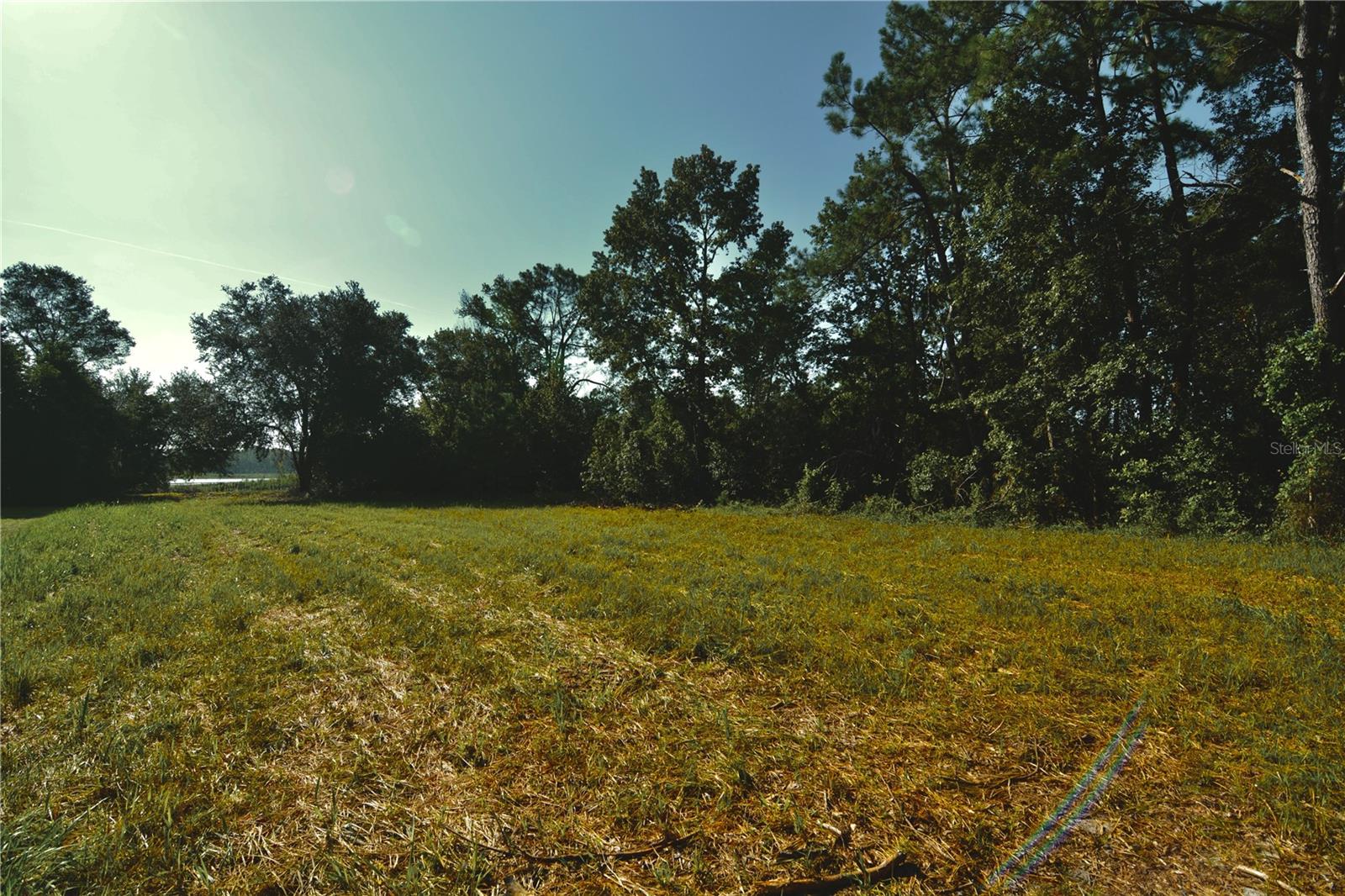 00 Hall Lake Rd Property Photo 19