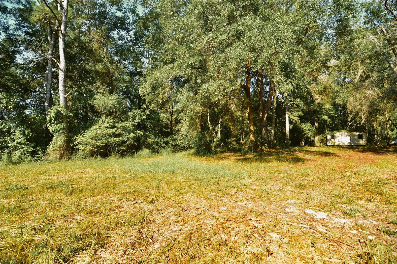 00 Hall Lake Rd Property Photo 20