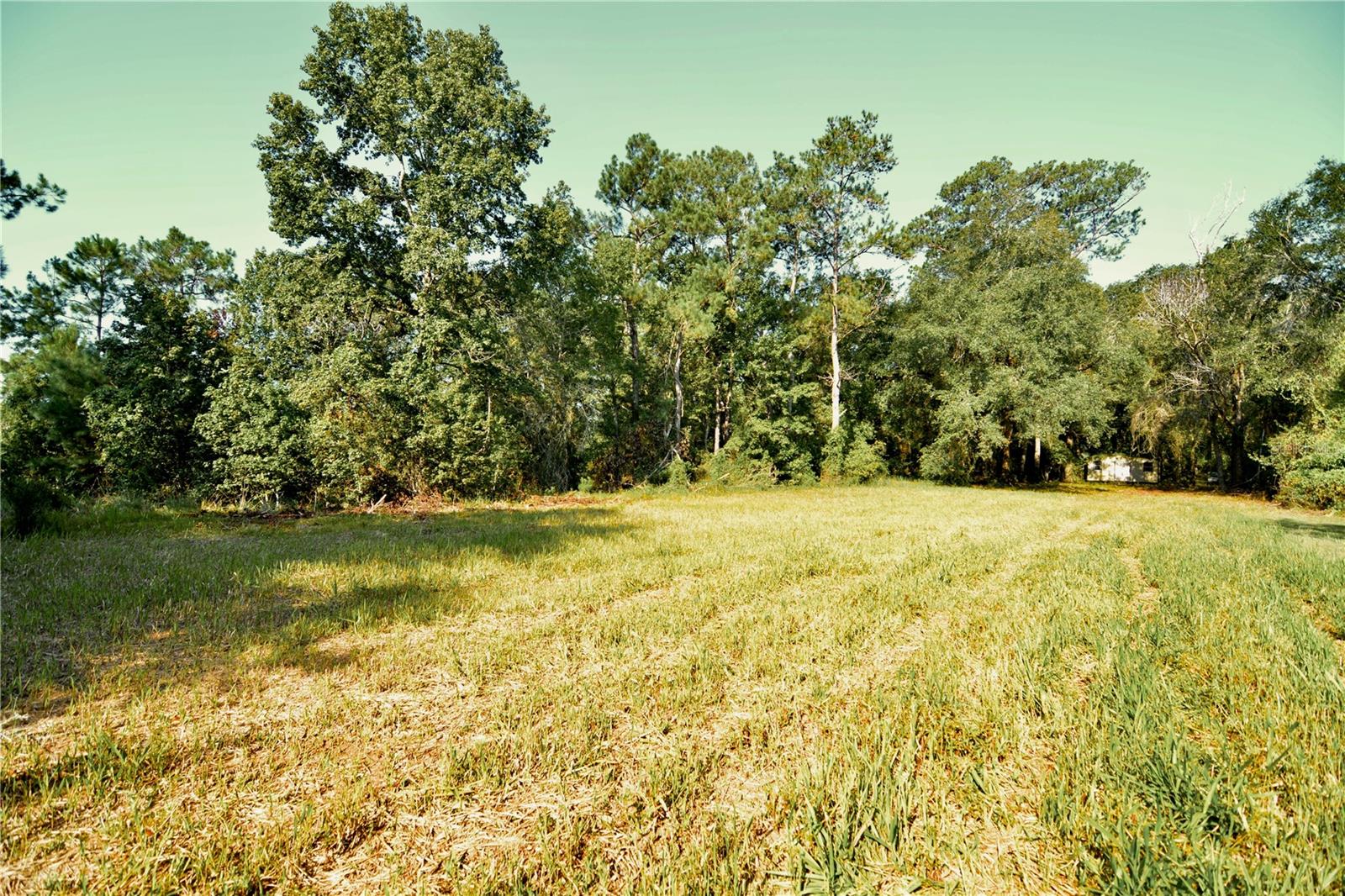 00 Hall Lake Rd Property Photo 21