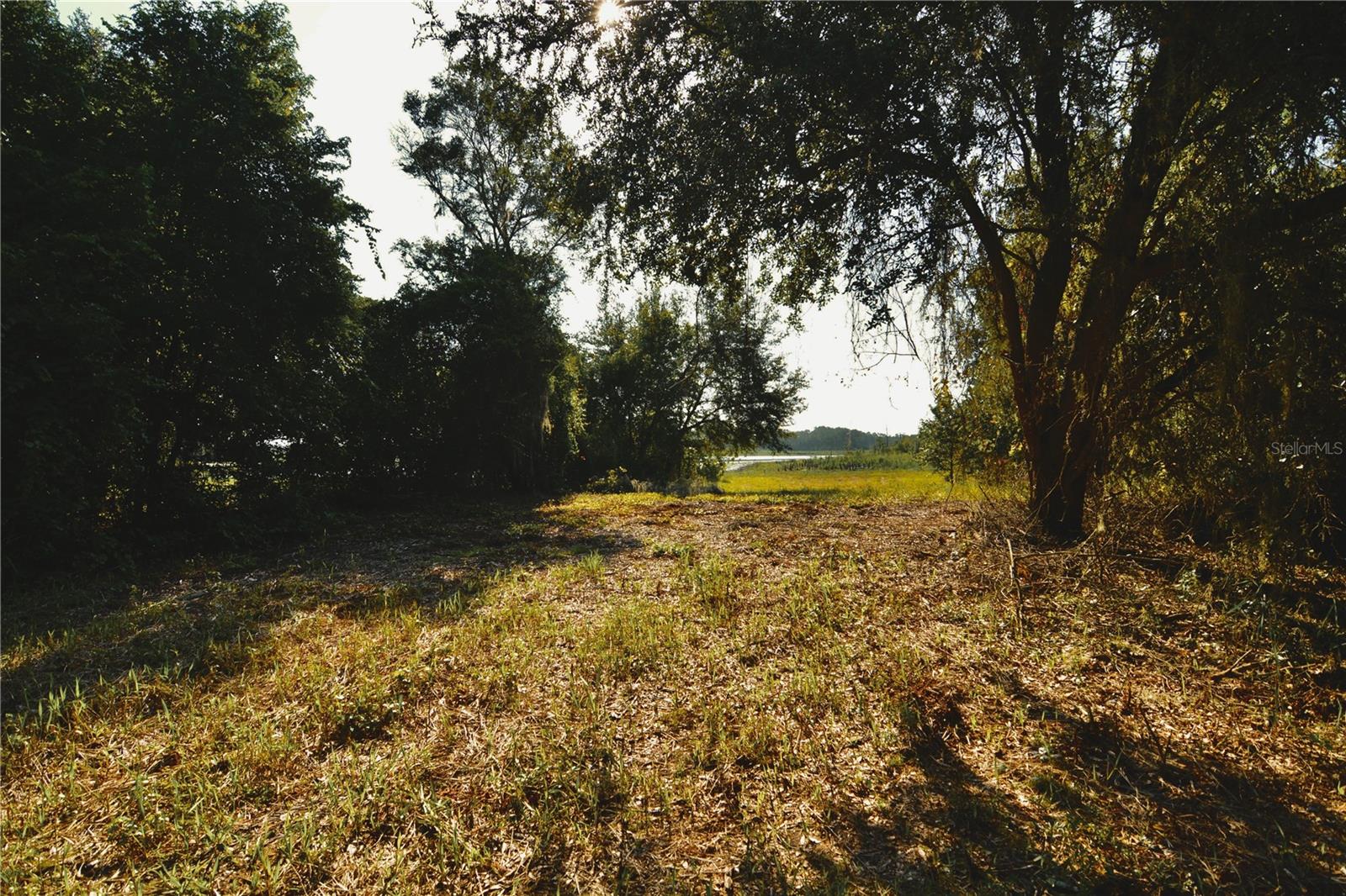 00 Hall Lake Rd Property Photo 22