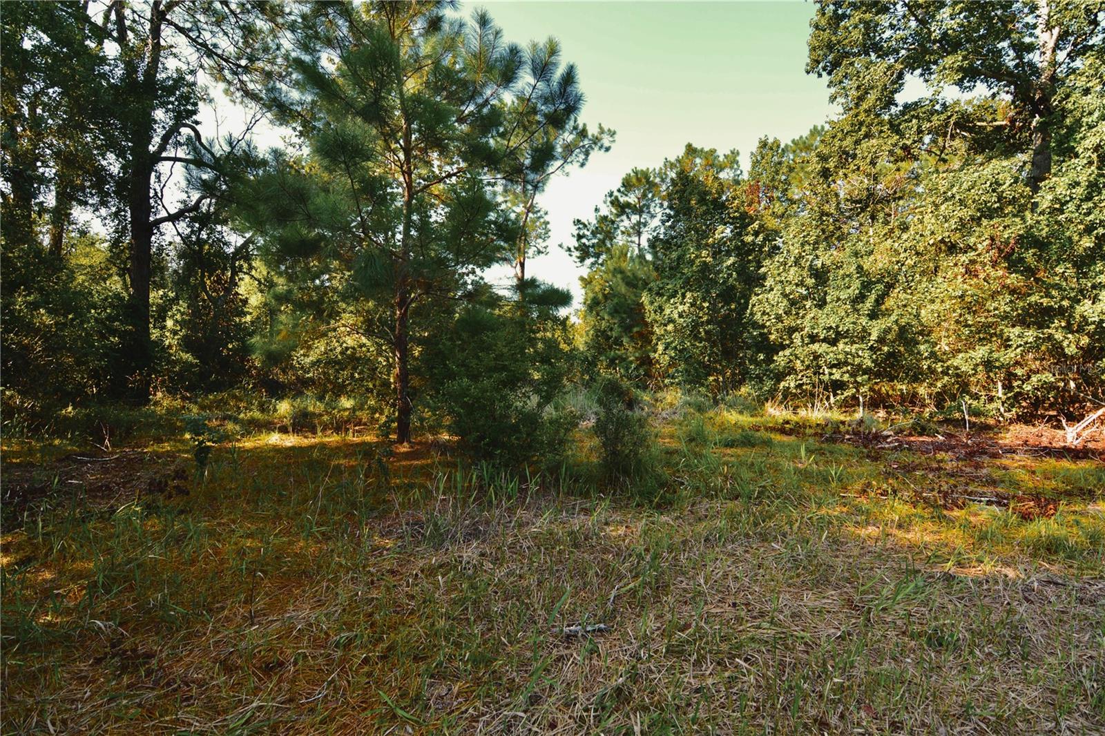 00 Hall Lake Rd Property Photo 23