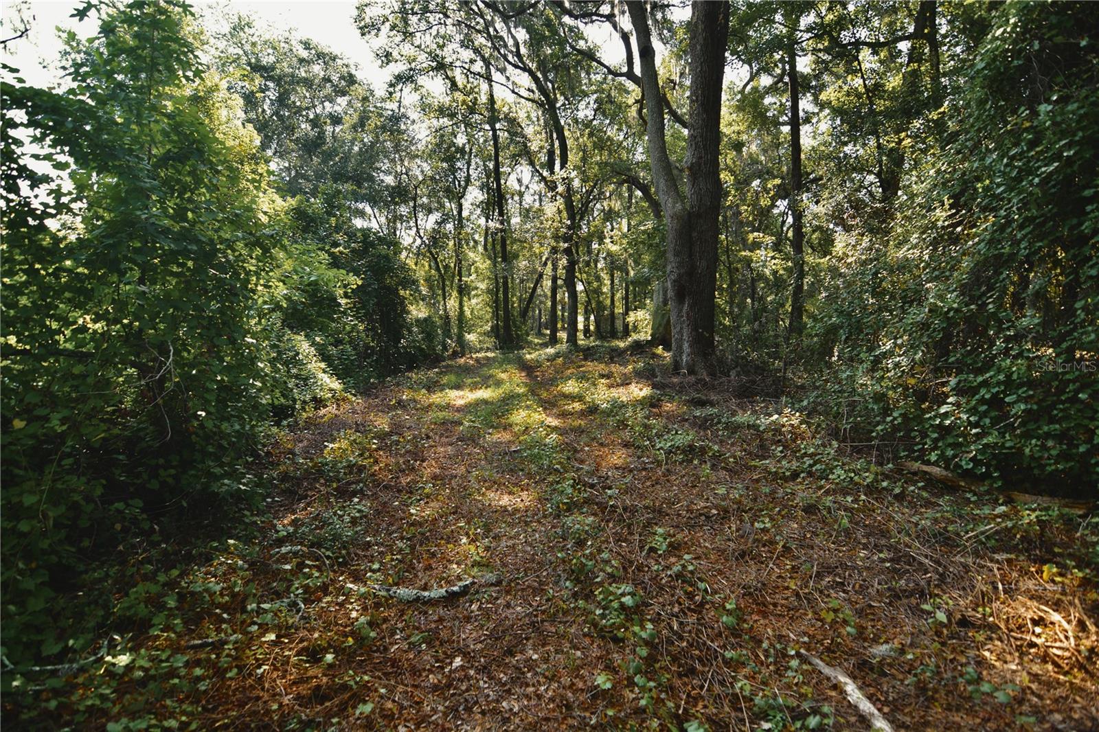 00 Hall Lake Rd Property Photo 28