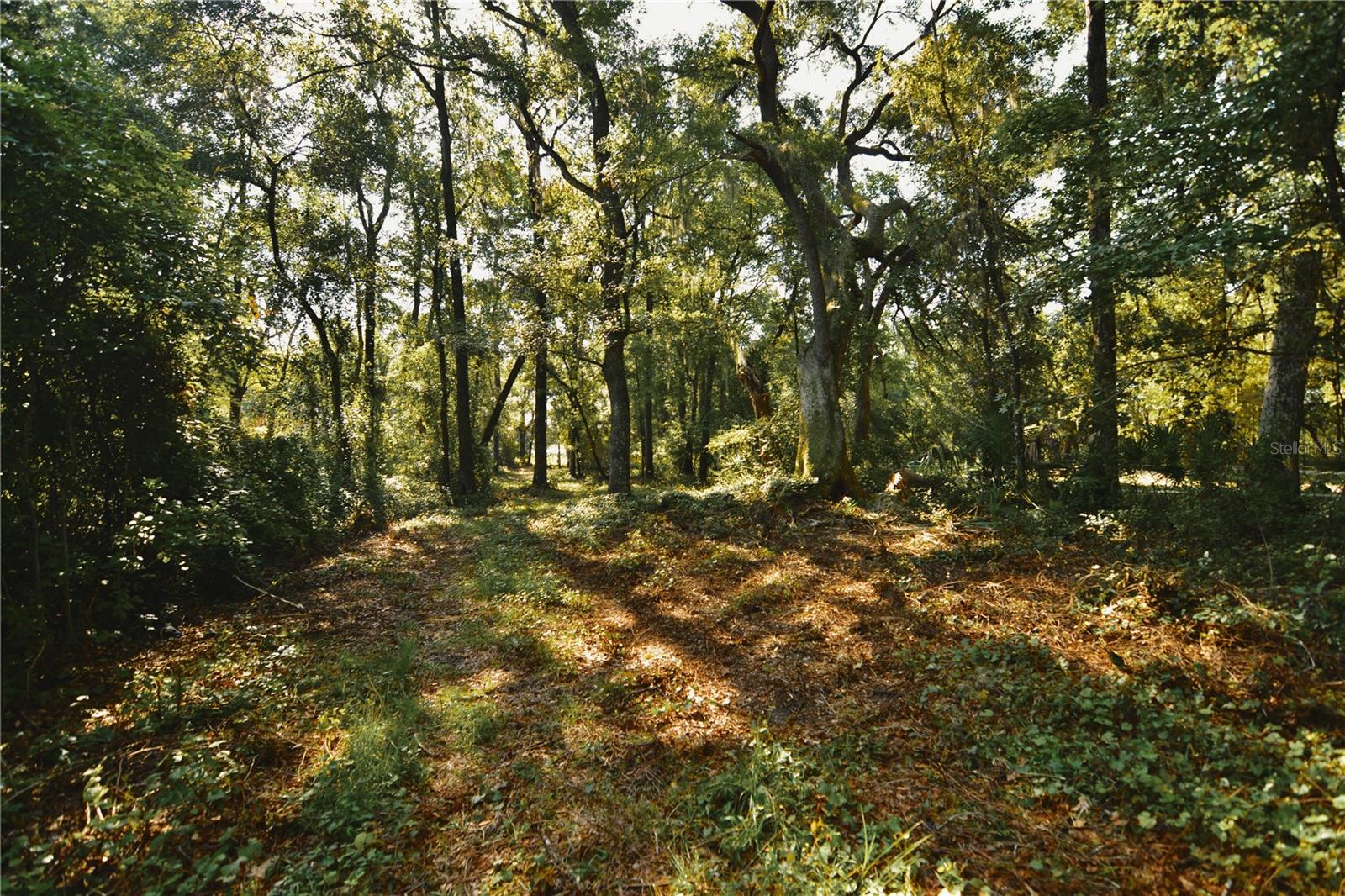 00 Hall Lake Rd Property Photo 30
