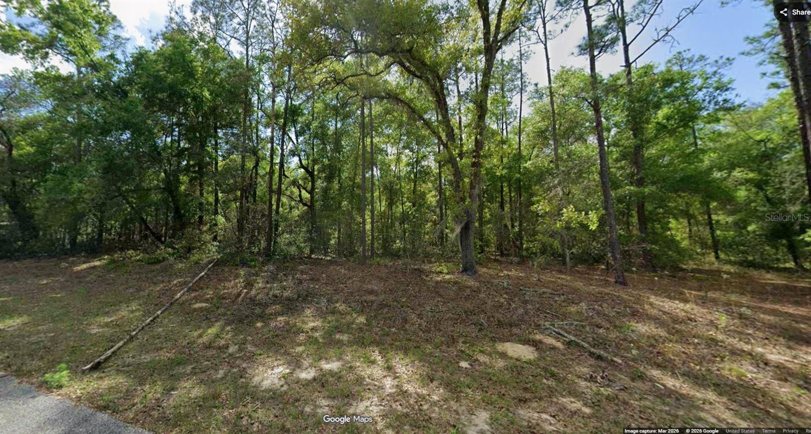 11286 N Schult Ter Property Photo 1