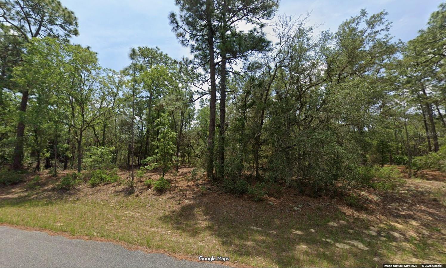 11345 N Kenney Loop Property Photo 1