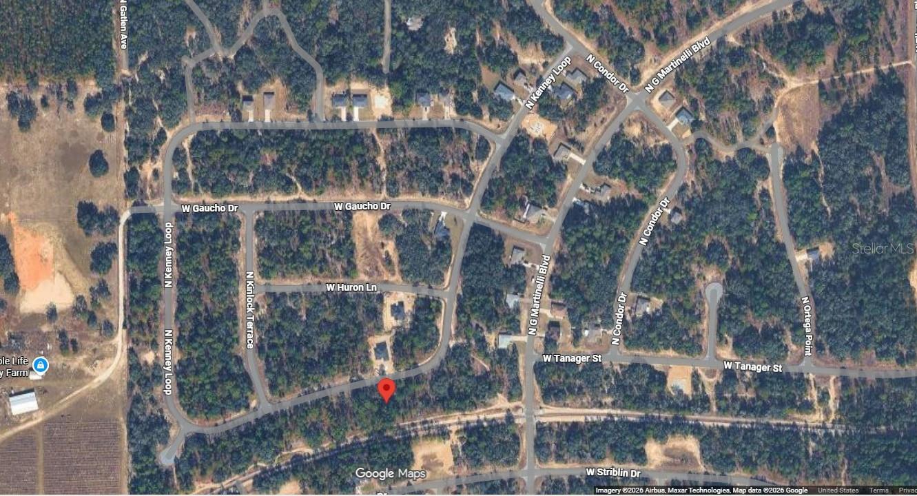 11345 N Kenney Loop Property Photo 5