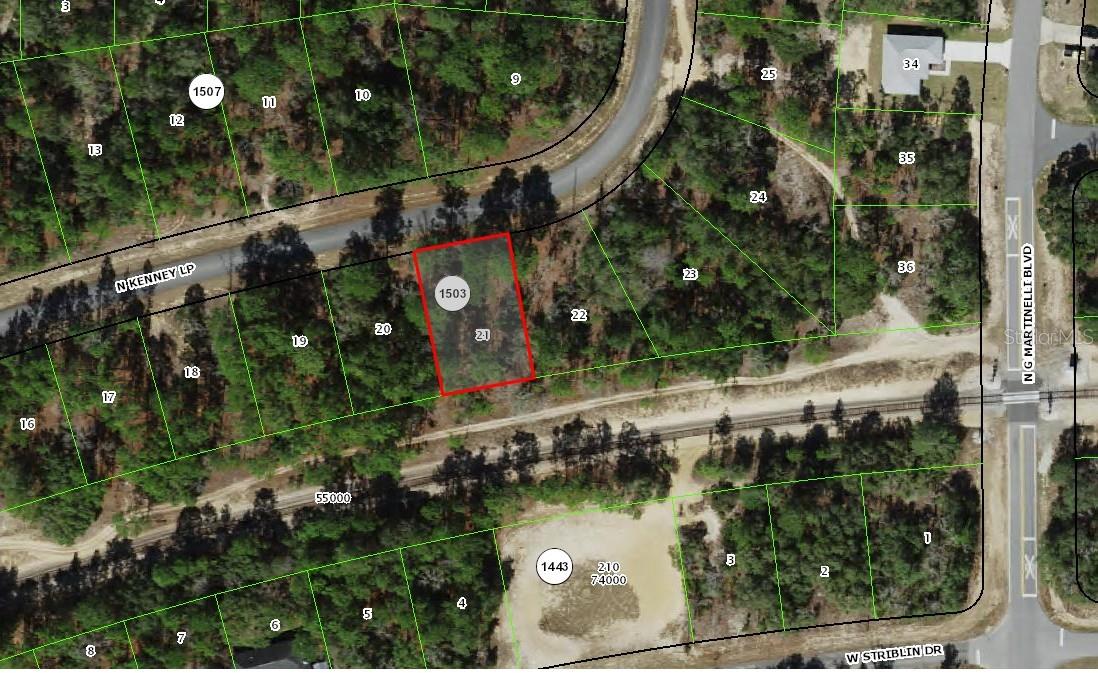 11345 N Kenney Loop Property Photo 6