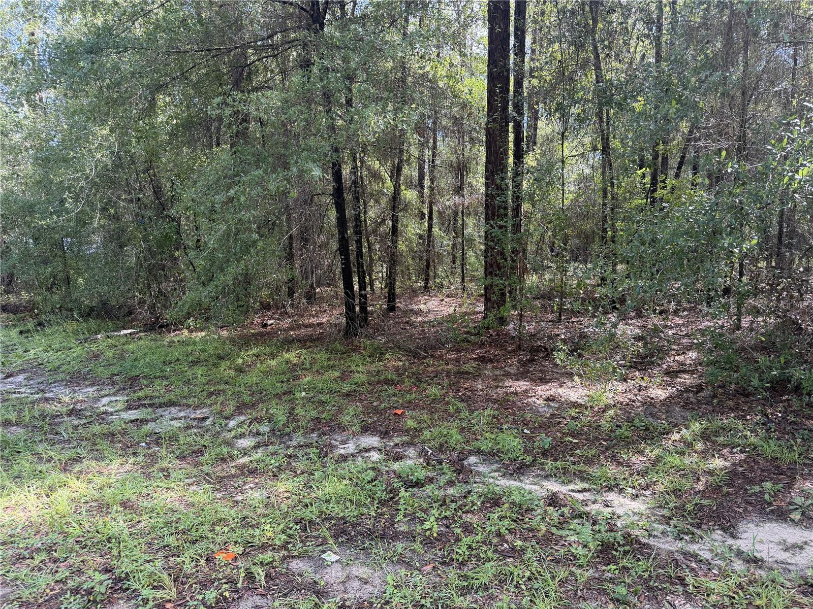 10049 N BISCAYNE DR Property Photo 1