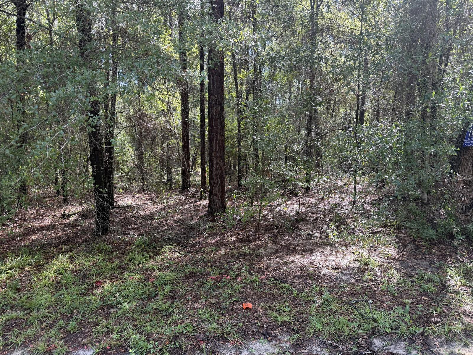 10049 N Biscayne Dr Property Photo 2