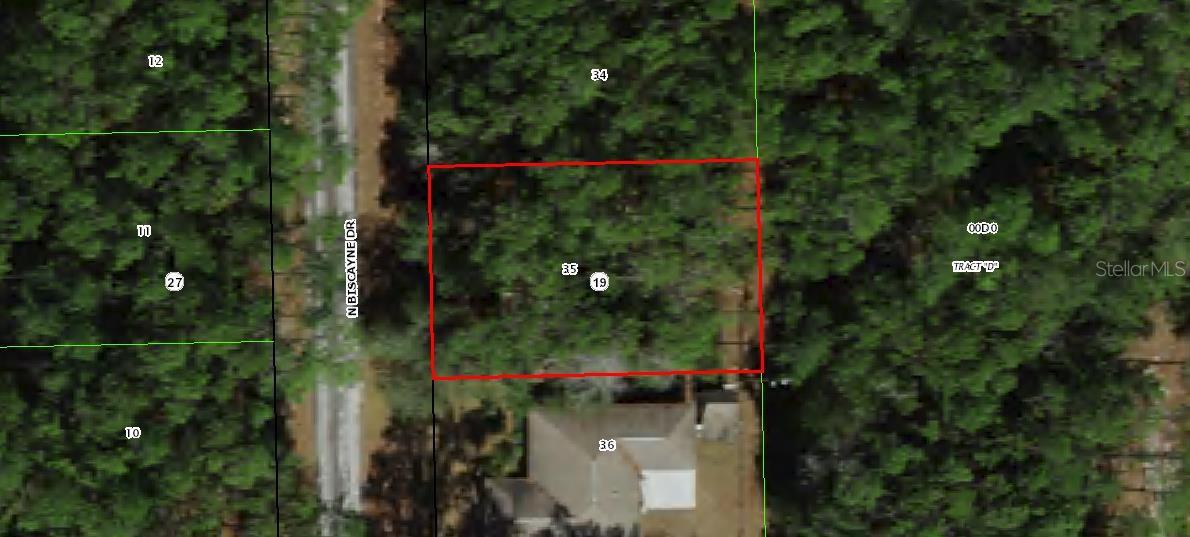 10049 N Biscayne Dr Property Photo 5