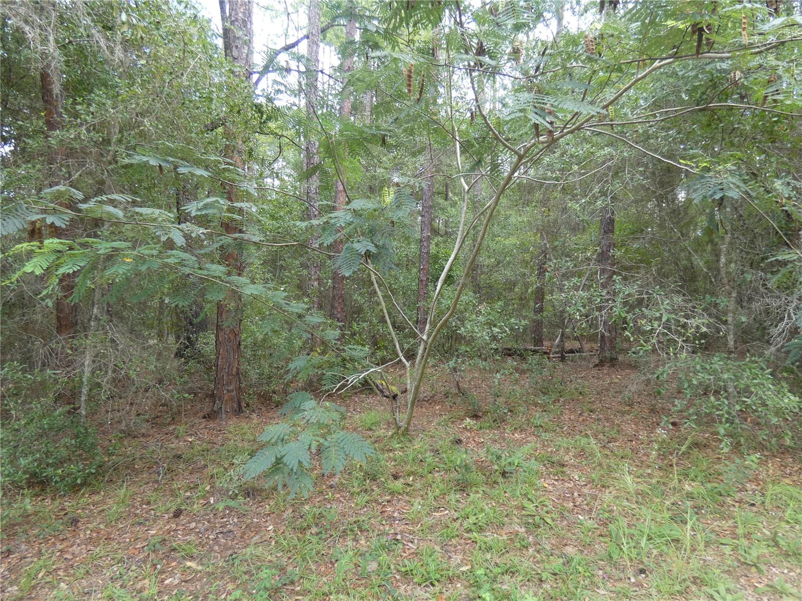 10061 N BISCAYNE DR Property Photo 1