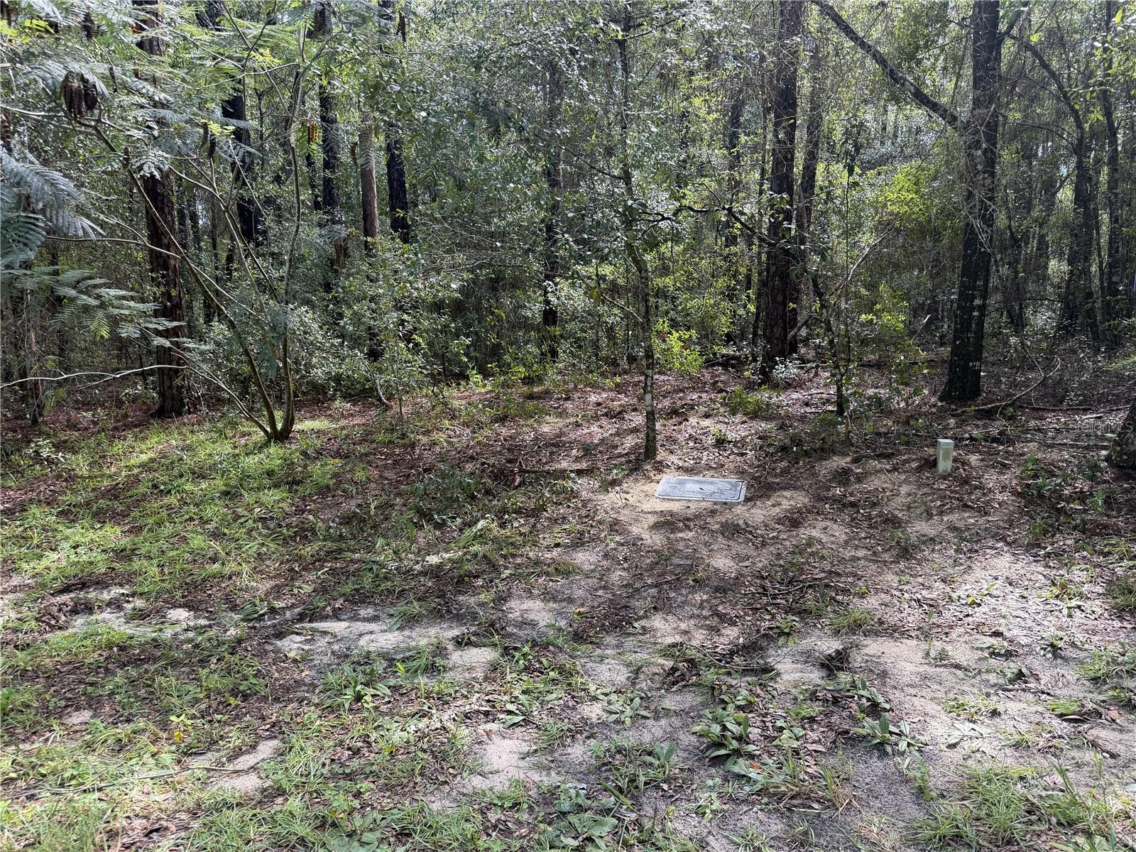 10061 N BISCAYNE DR Property Photo 1