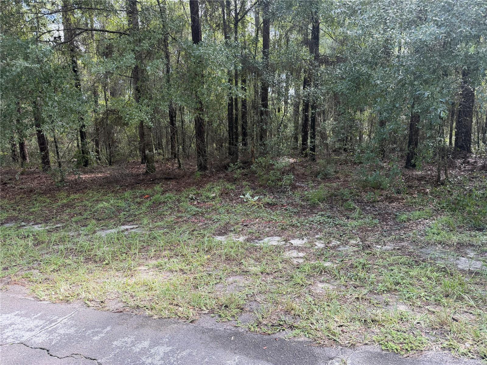 10075 N BISCAYNE DR Property Photo 1